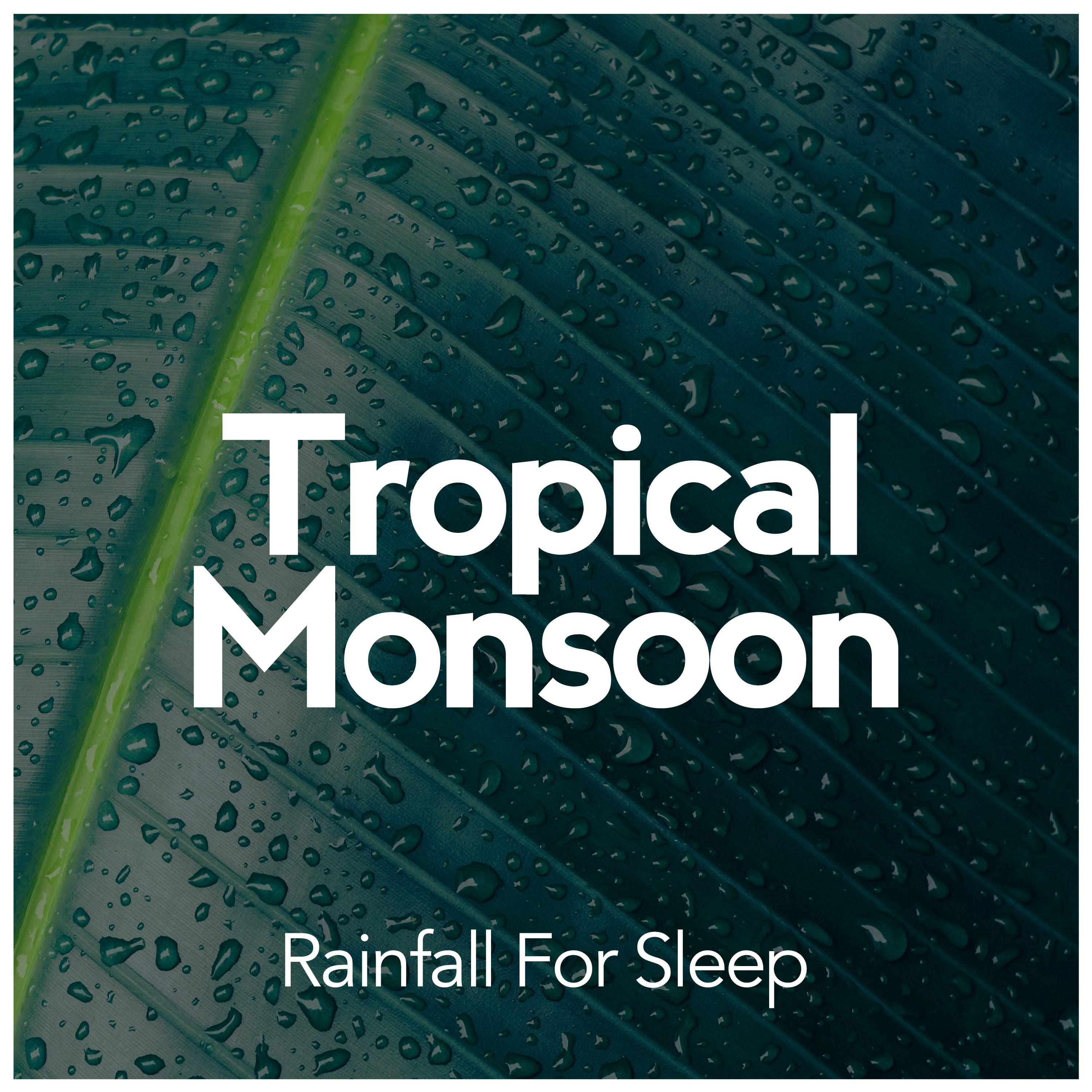 Tropical Monsoon