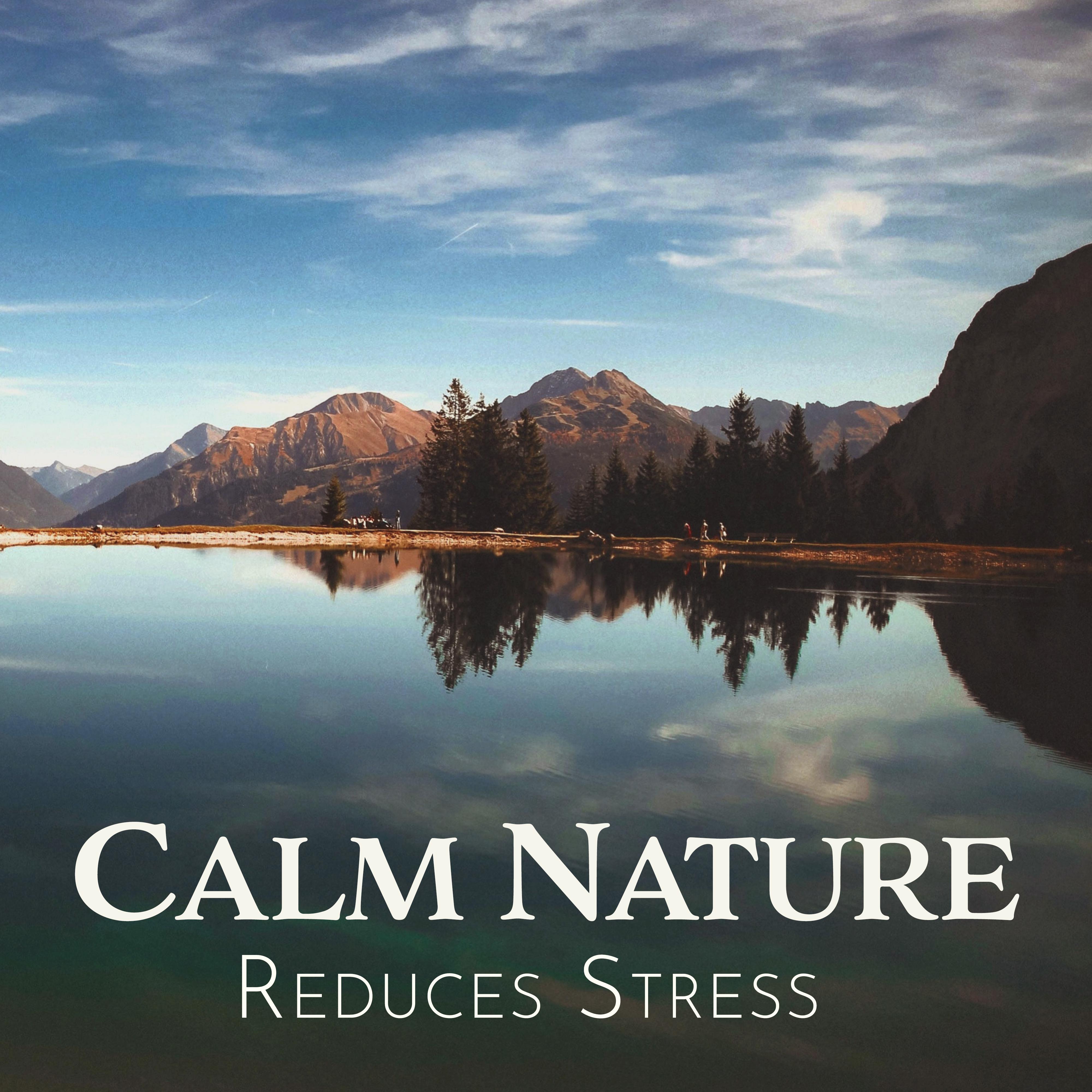 Calm Nature Reduces Stress: Deep Harmony, Relief Music, Relaxing Music Therapy, Music Zone, Nature Sounds for Relaxation