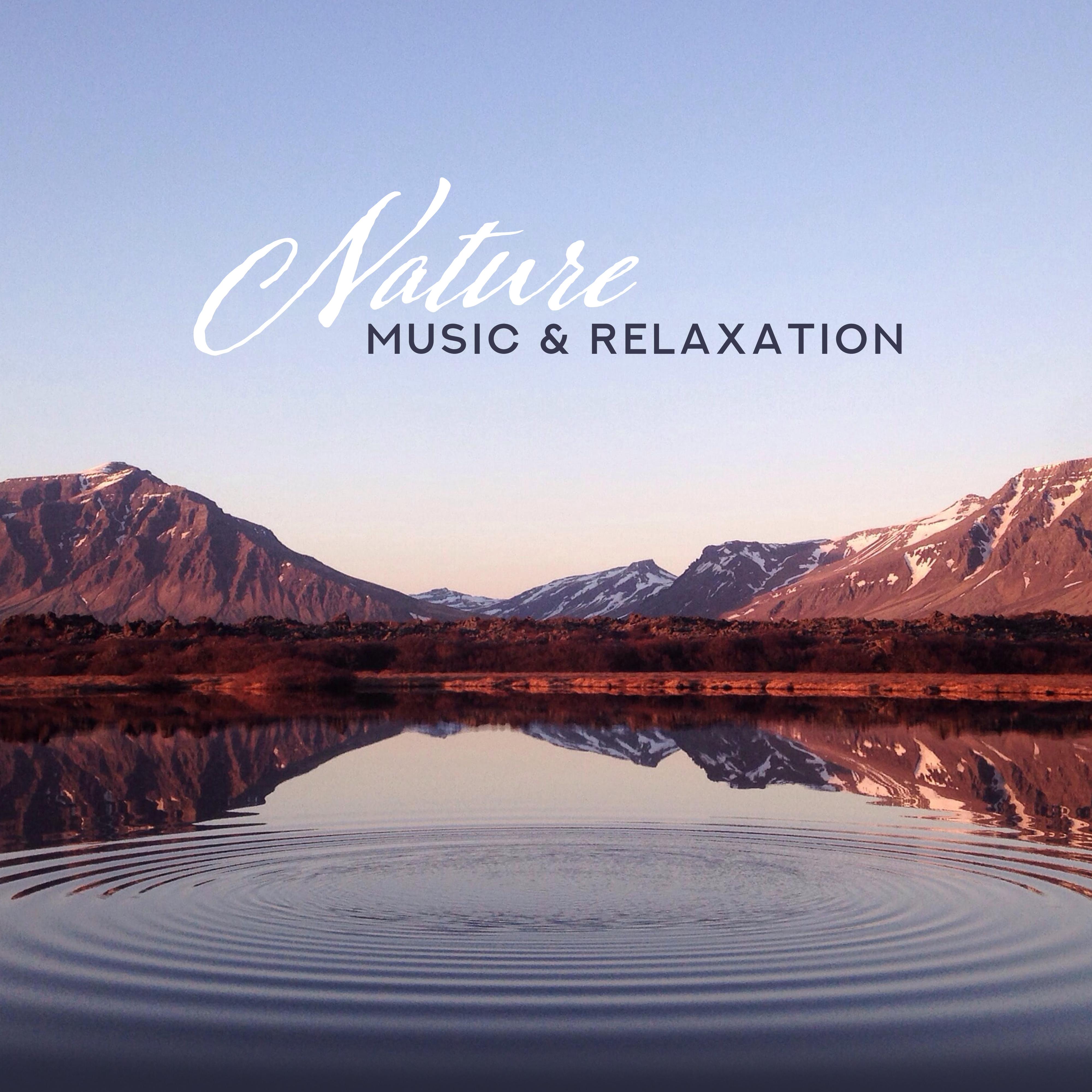 Nature Music & Relaxation: Pure Mind, Deep Rest, Healing Music to Calm Down