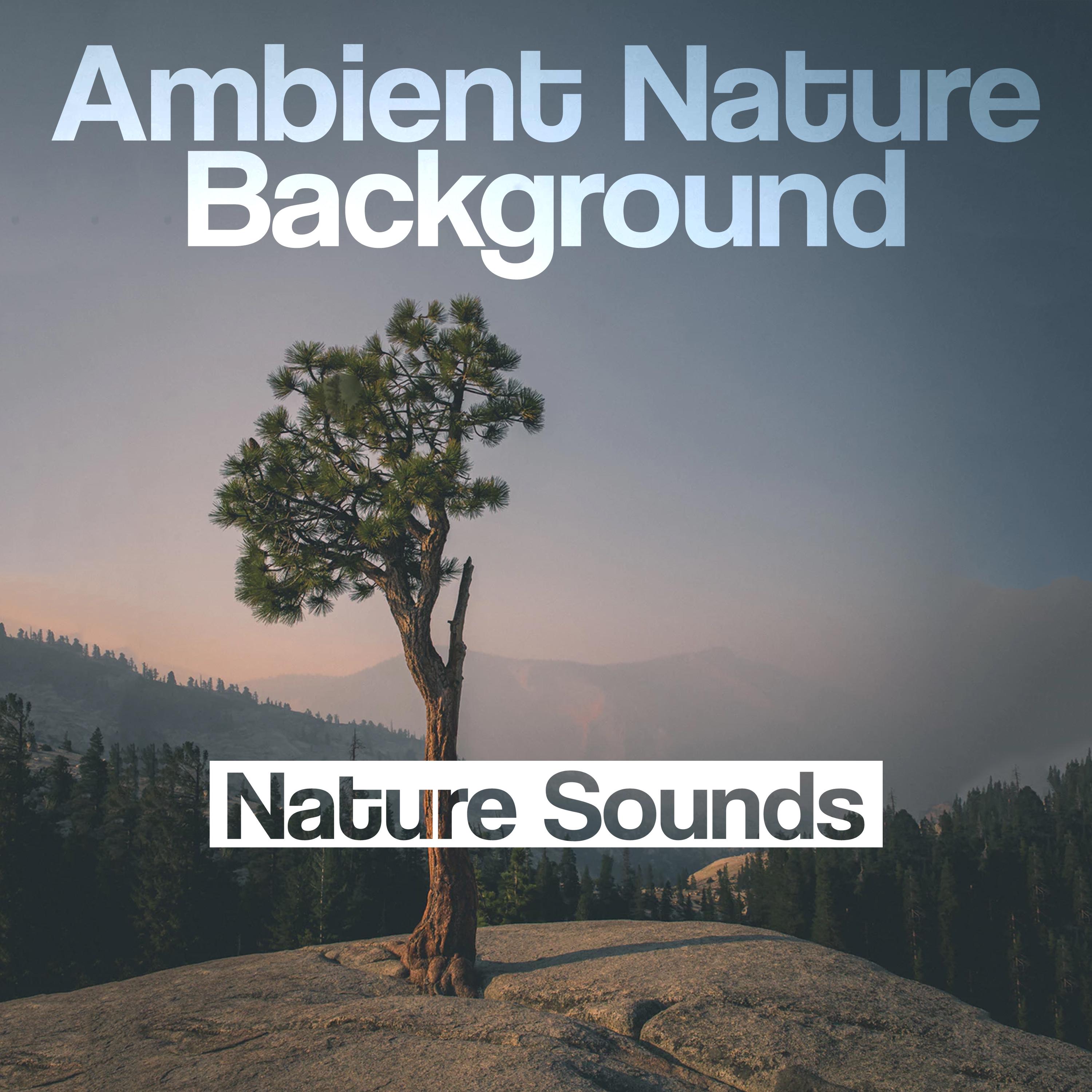 Ambient Nature Background