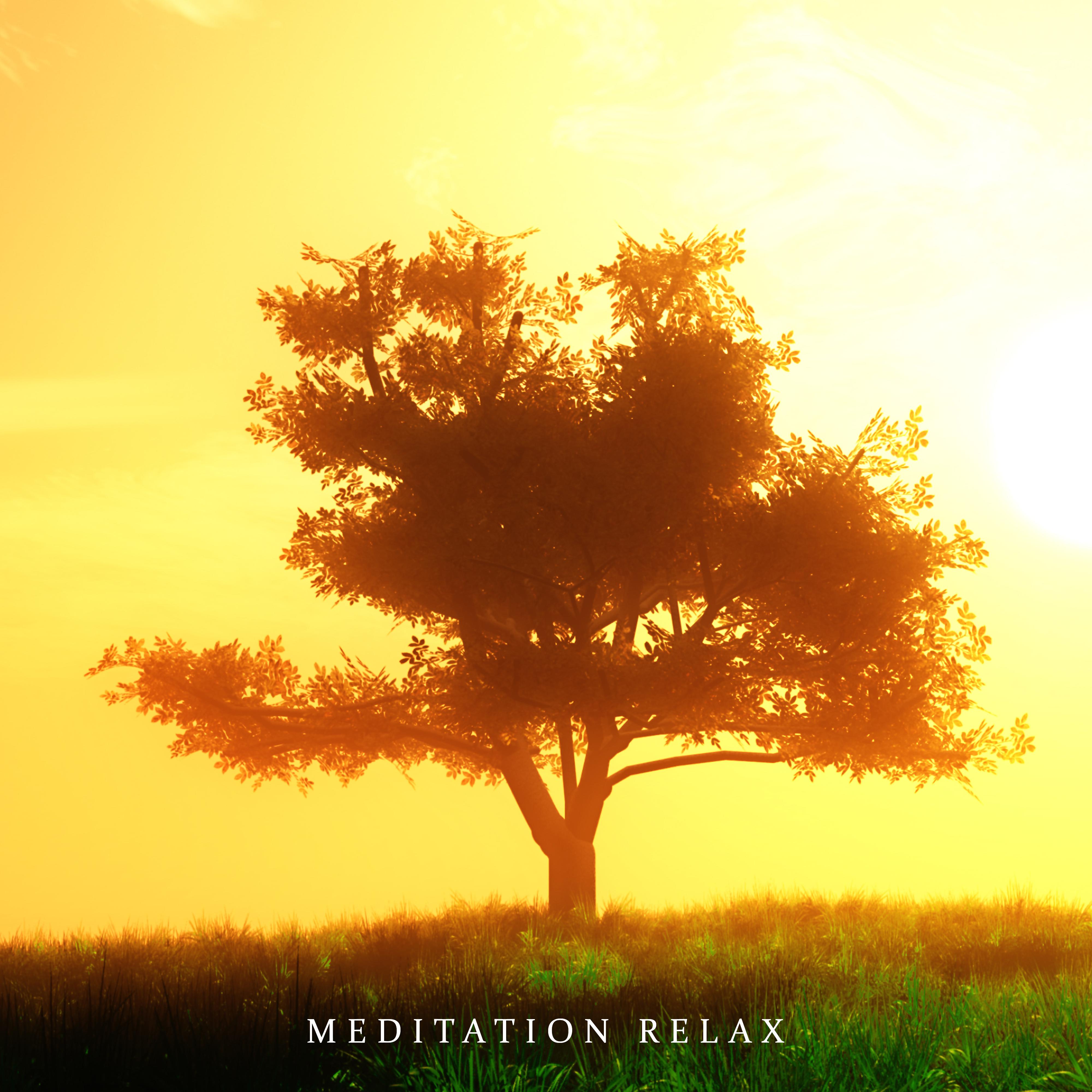 Meditation Relax: Yoga Music to Calm Down, Stress Relief, Pure Meditation, Inner Harmony, Ambient Chill, Lounge