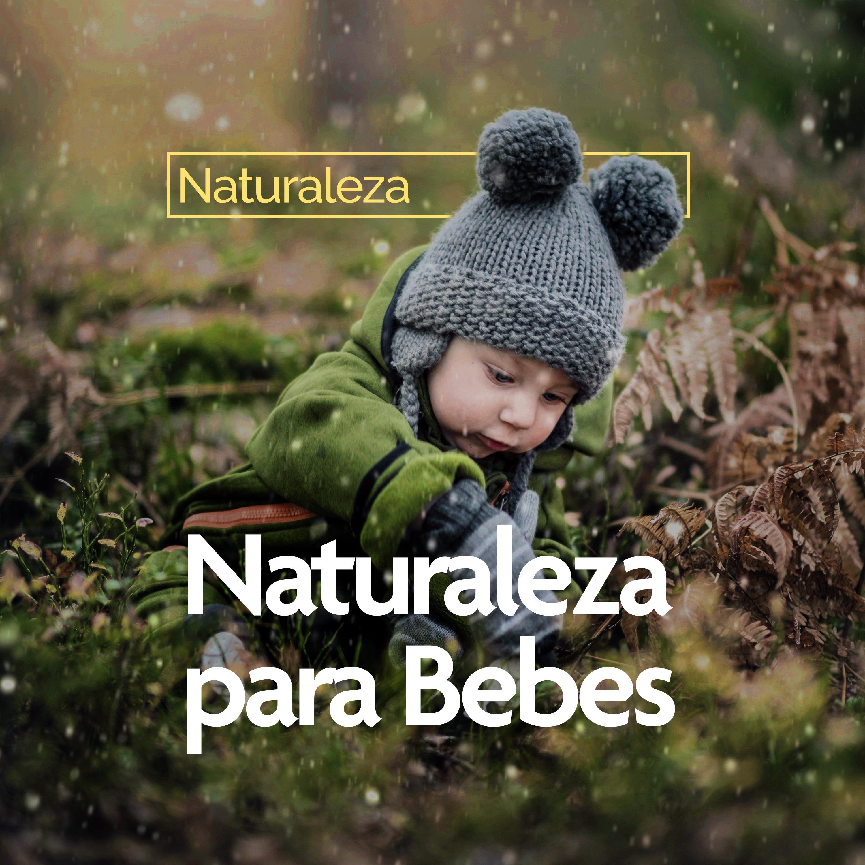 Naturaleza para Bebes