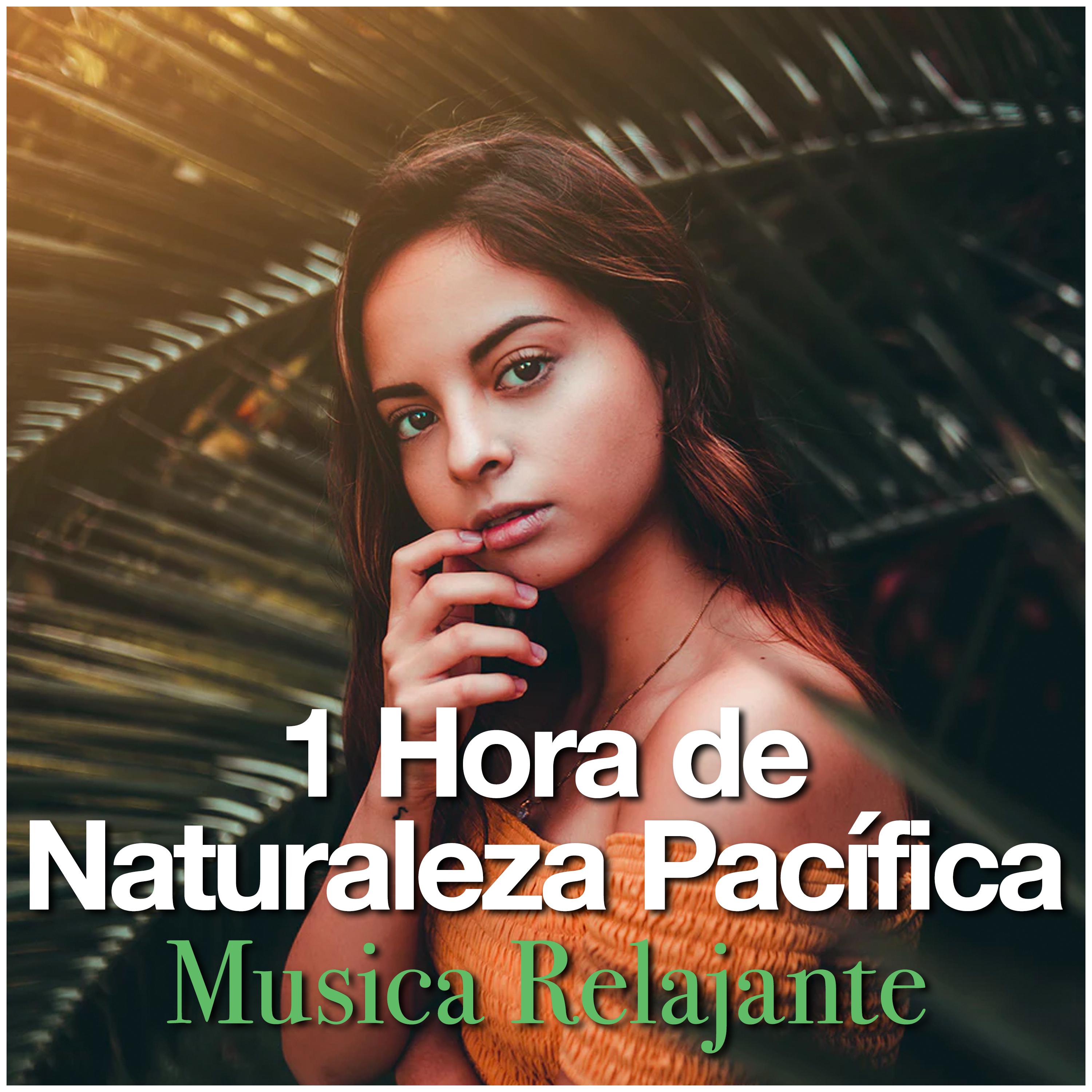 1 Hora de Naturaleza Pacífica