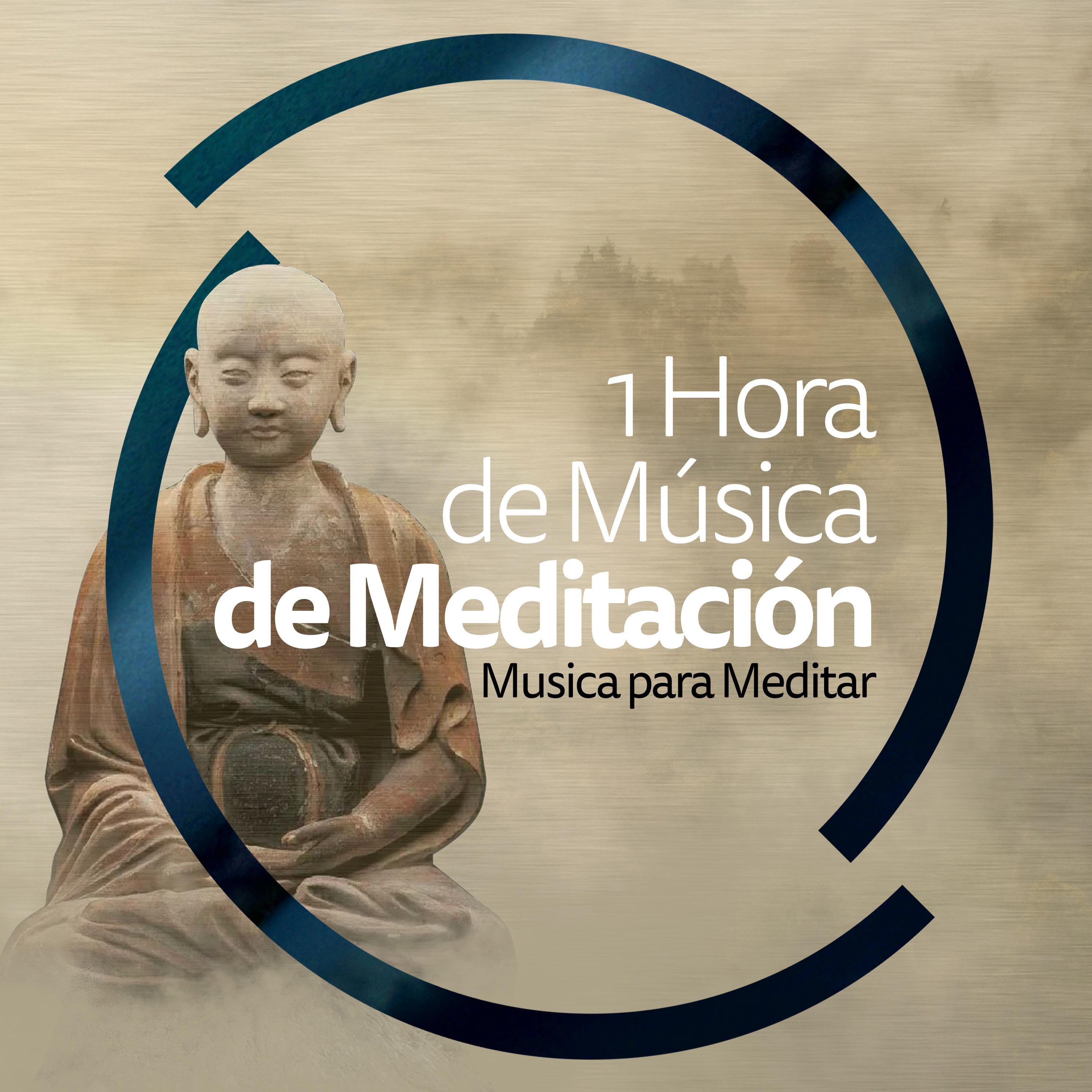 1 Hora de Música de Meditación