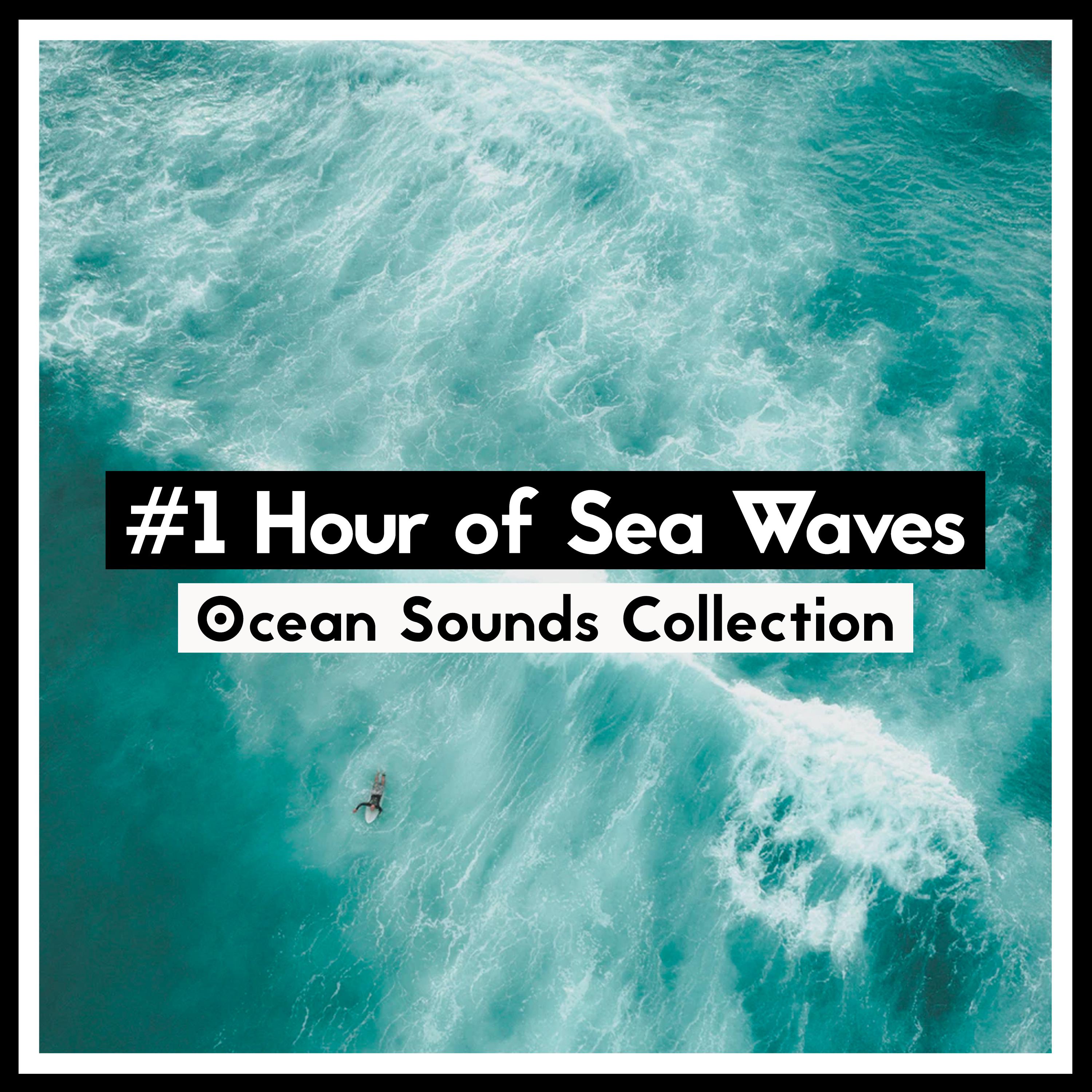 #1 Hour of Sea Waves