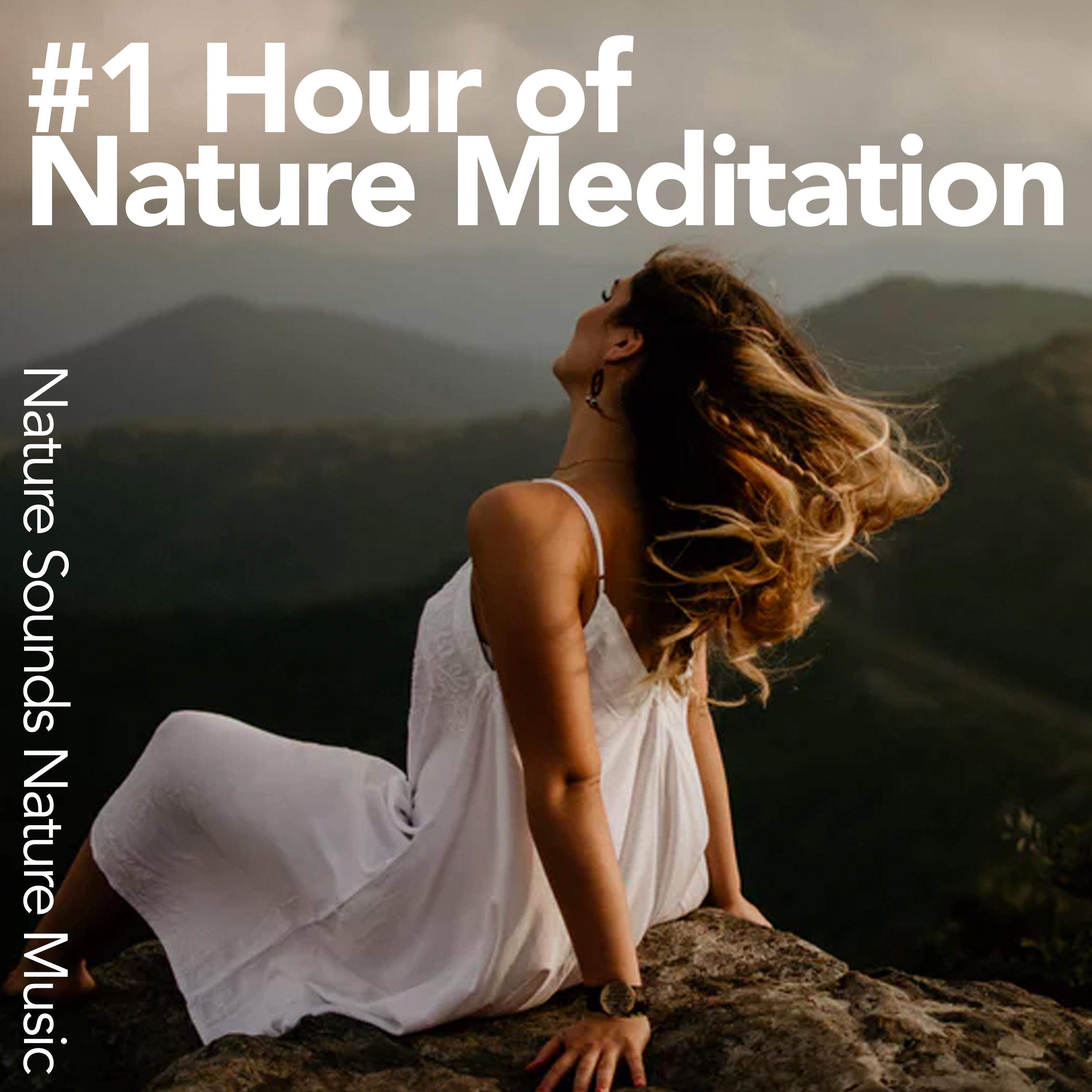 #1 Hour of Nature Meditation