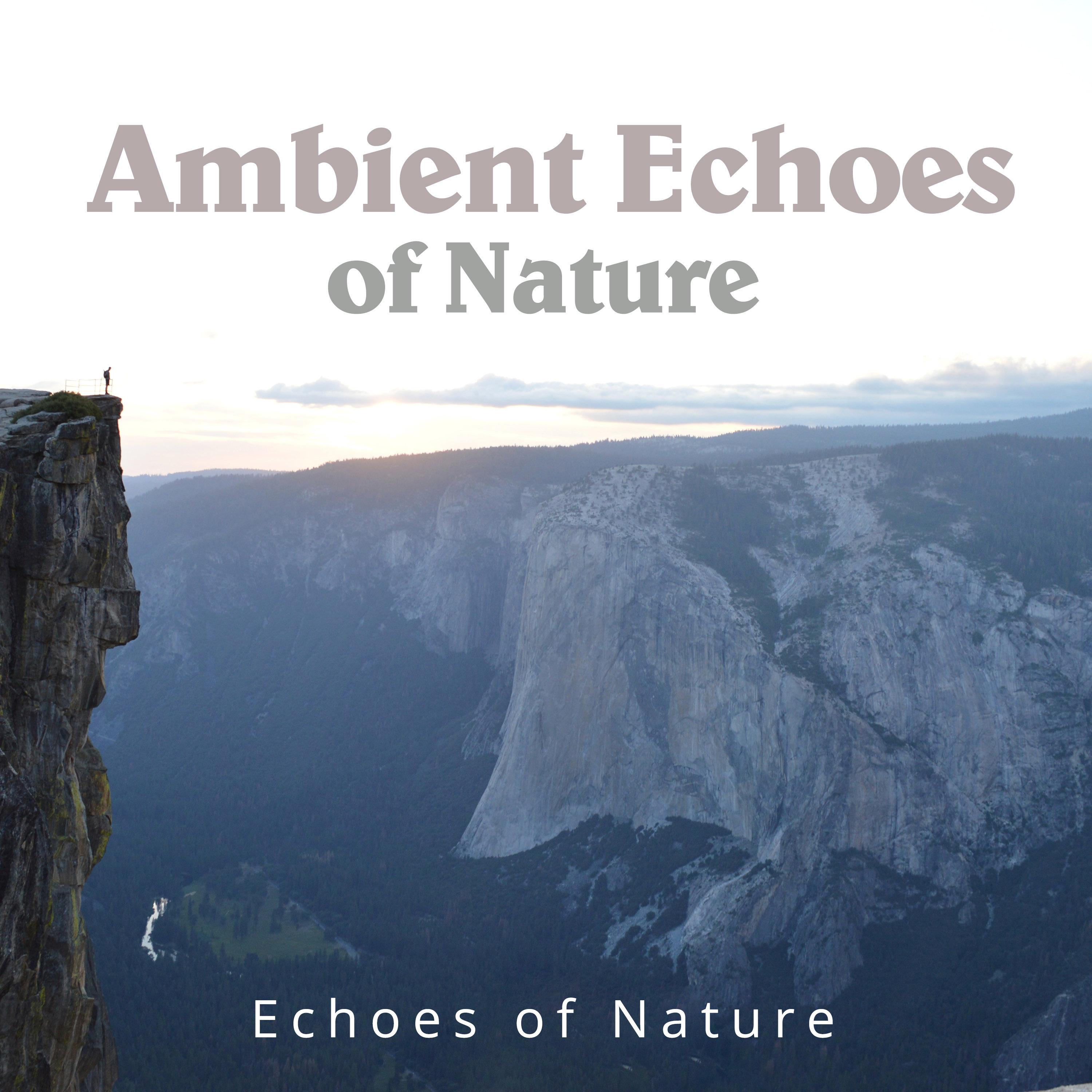 Ambient Echoes of Nature