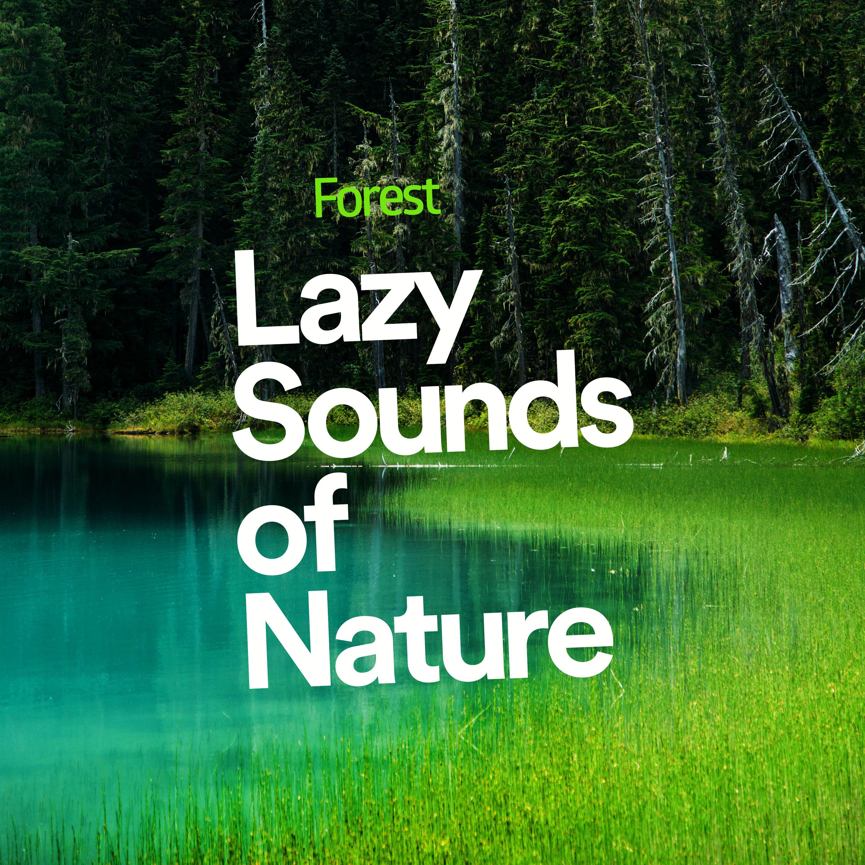 Lazy Sounds of Nature