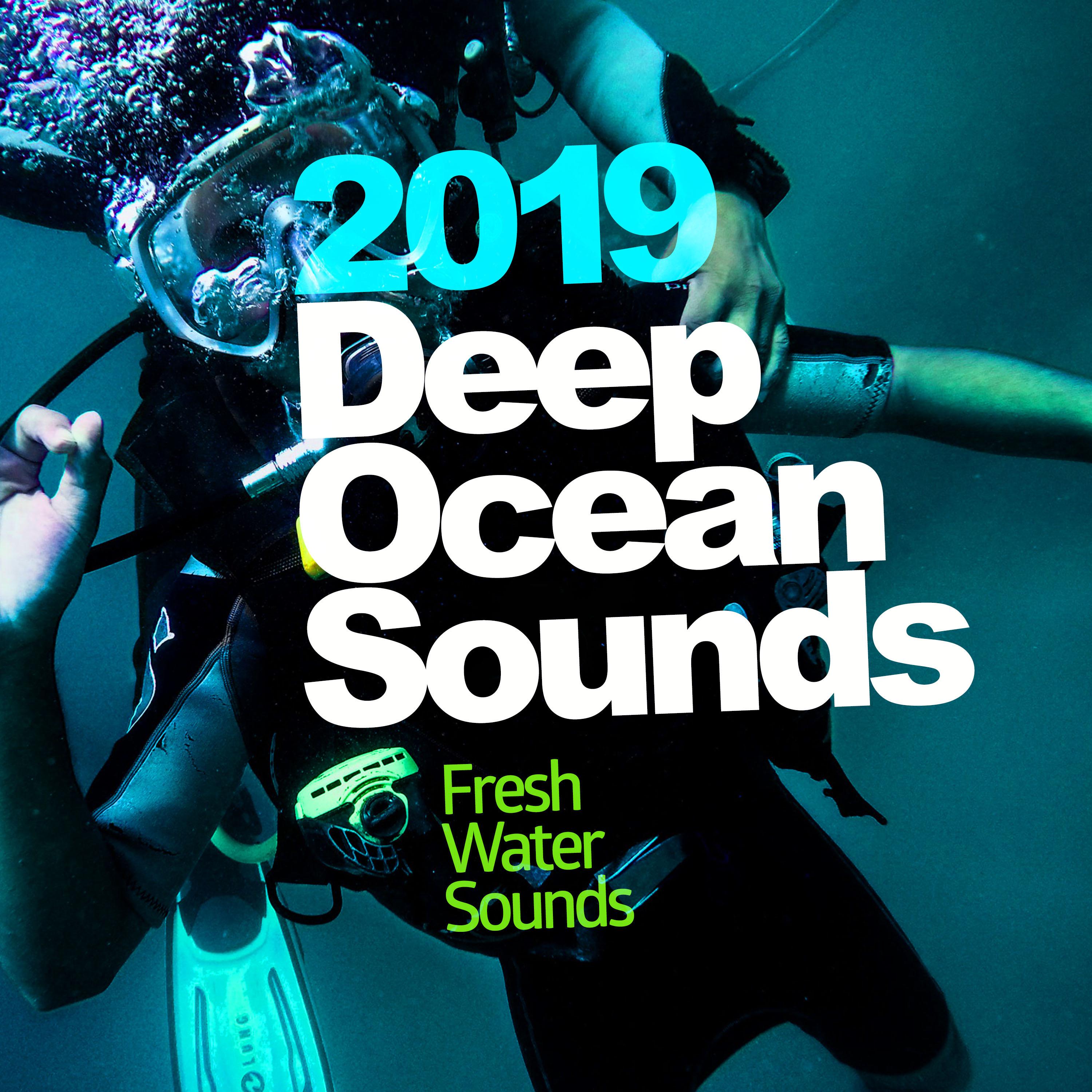 2019 Deep Ocean Sounds