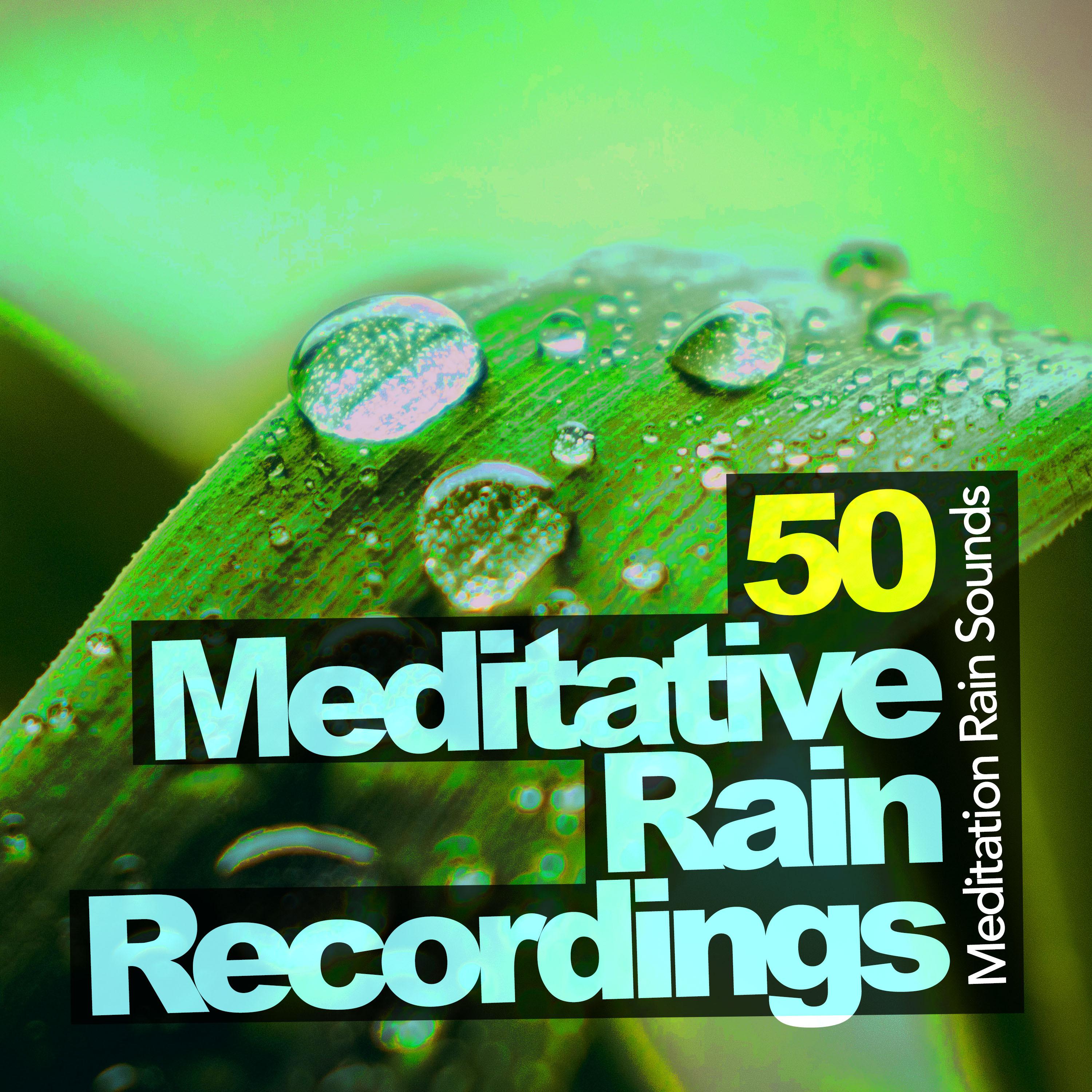 50 Meditative Rain Recordings