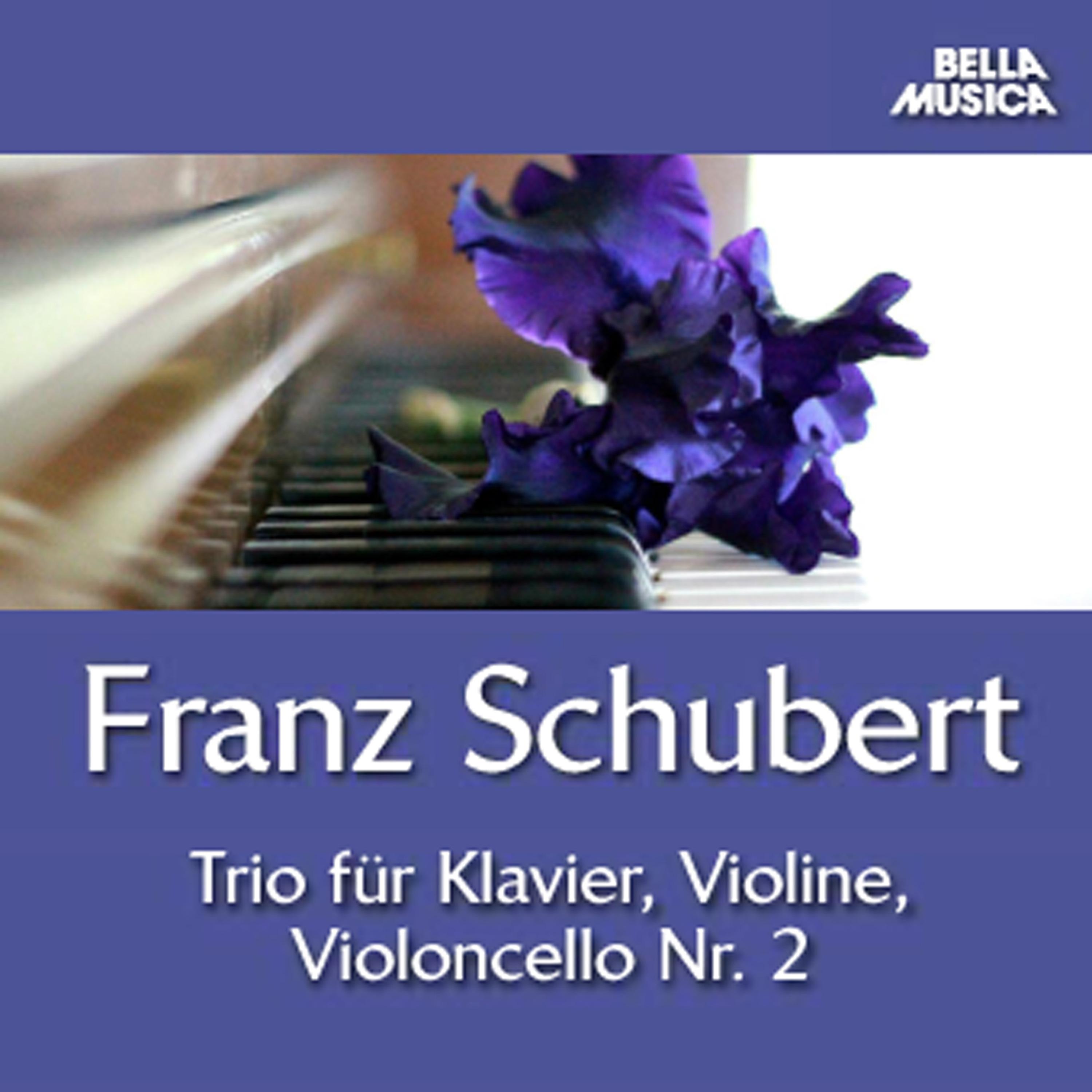 Sonatine No. 1 für Violine und Klavier in D Major, D. 384: II. Andante