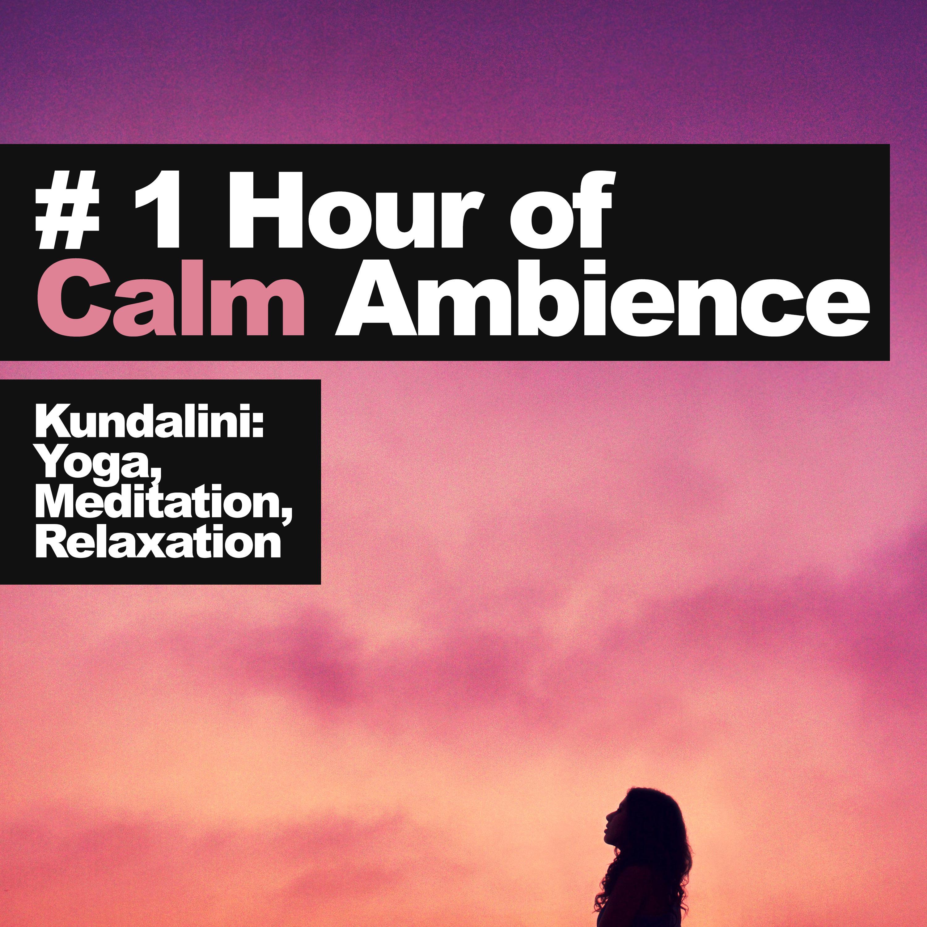 # 1 Hour of Calm Ambience