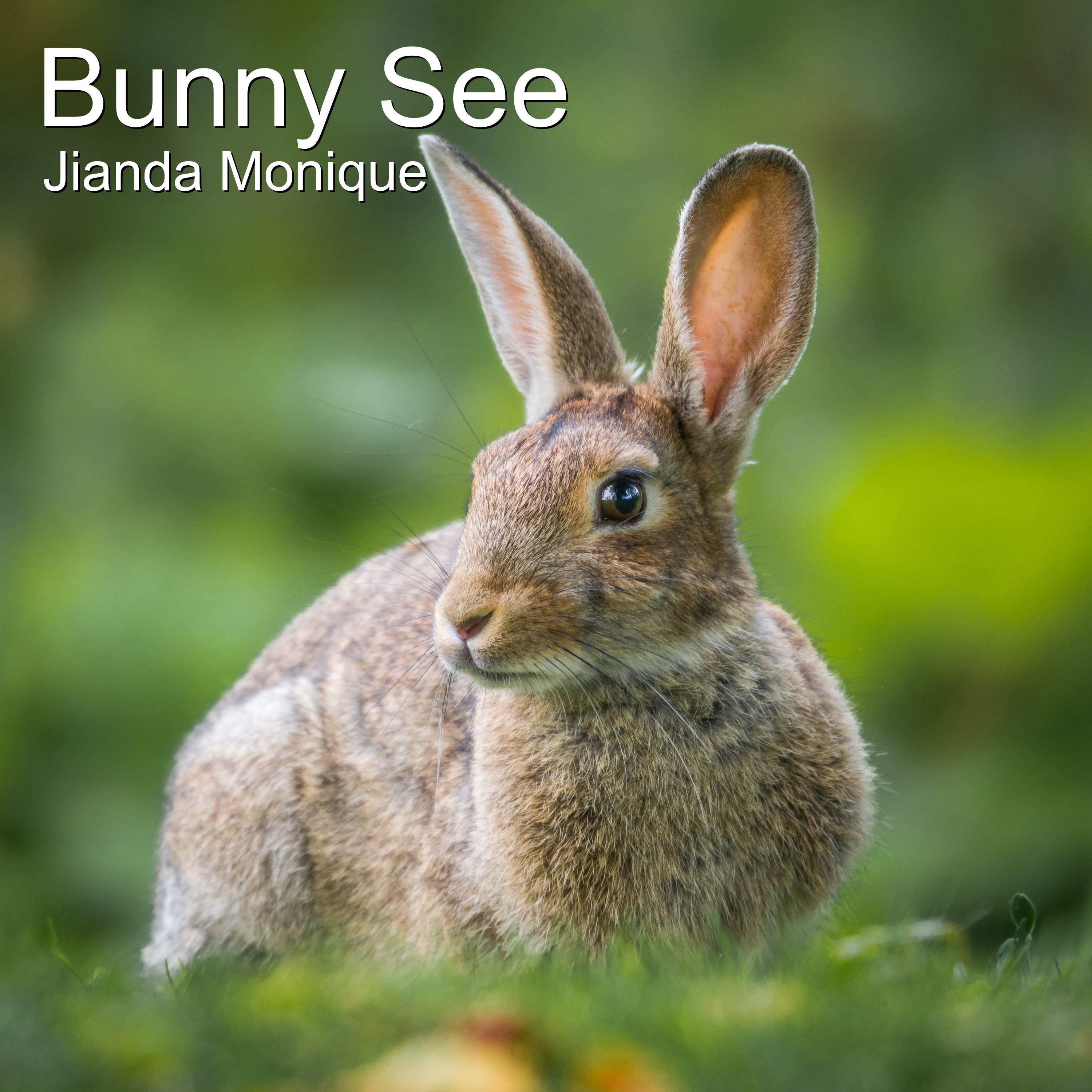 Bunny See