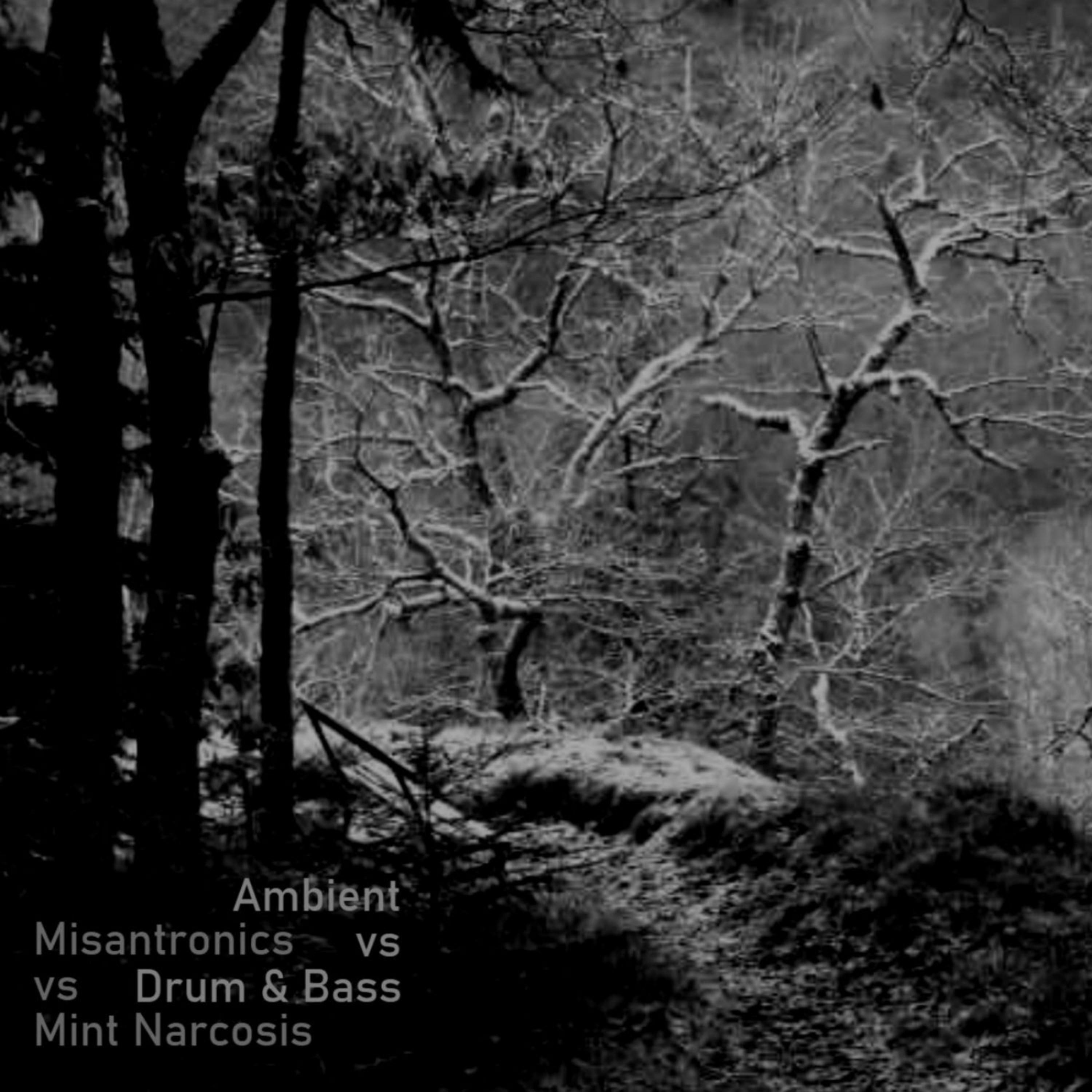 Ambient Vs Drum & Bass