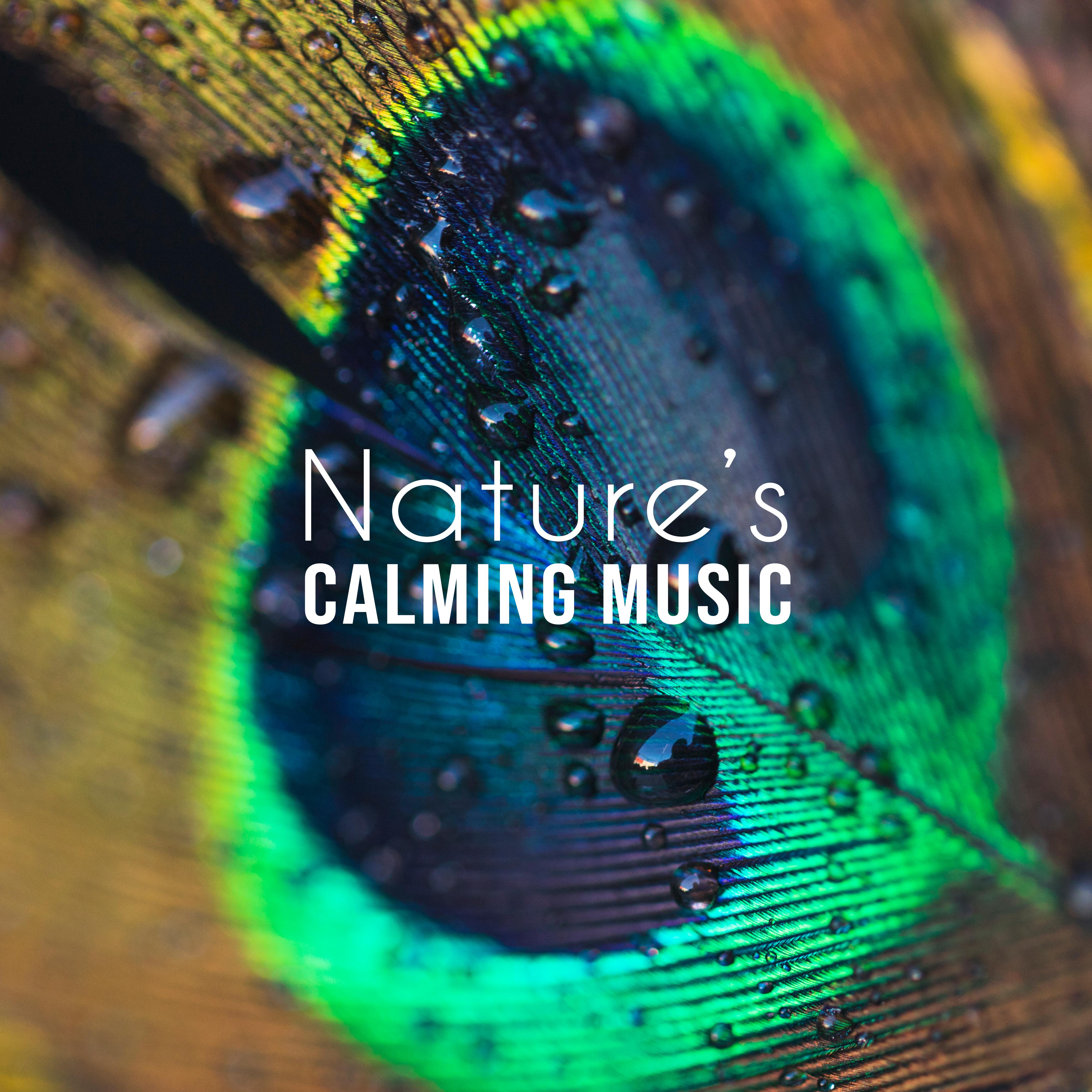 Nature’s Calming Music - Collection of 15 Songs Deeply Relaxing, Soothing and Calming