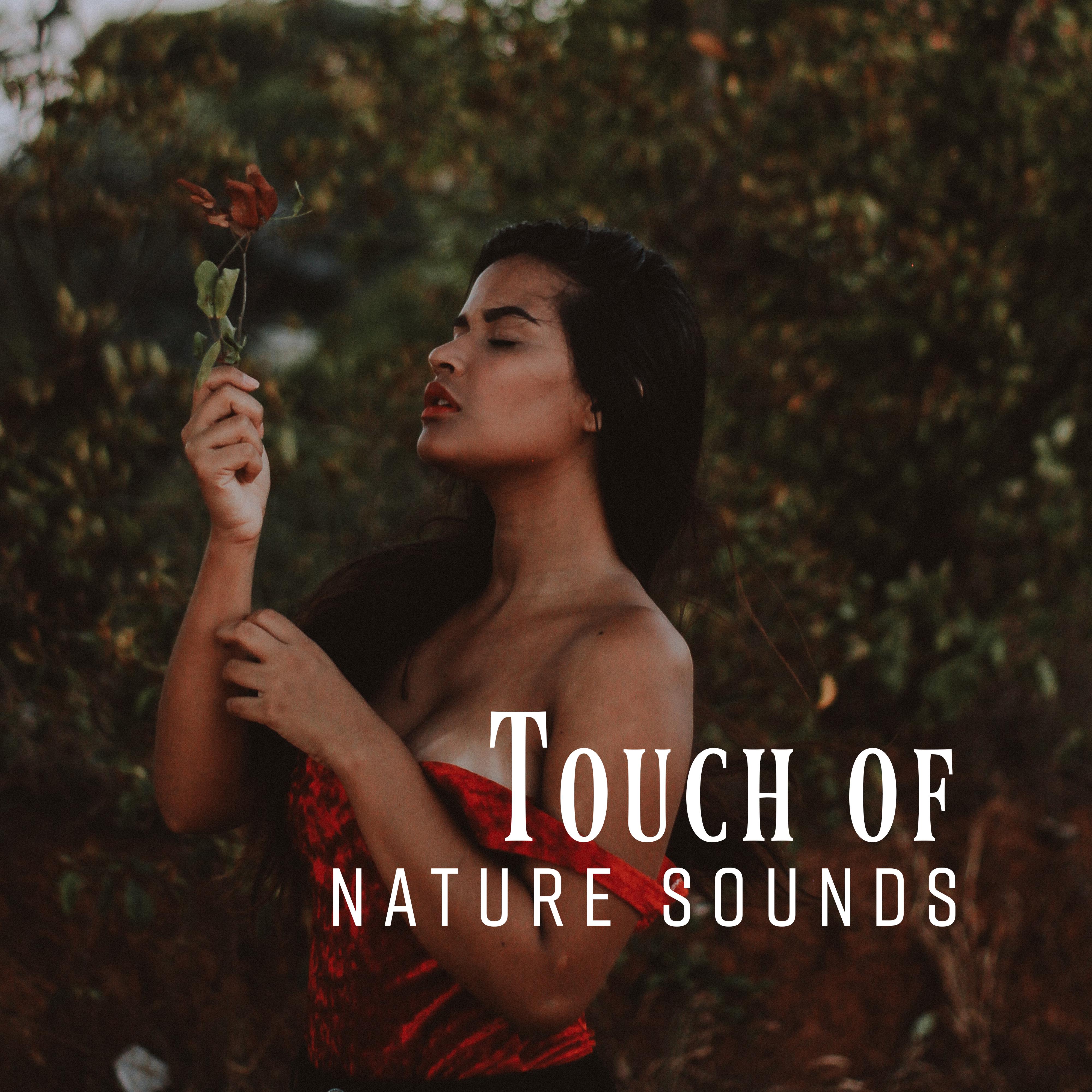 Touch of Nature Sounds: Pure Relaxation, Nature Music, Inner Bliss, Deep Harmony, Perfect Relax Zone