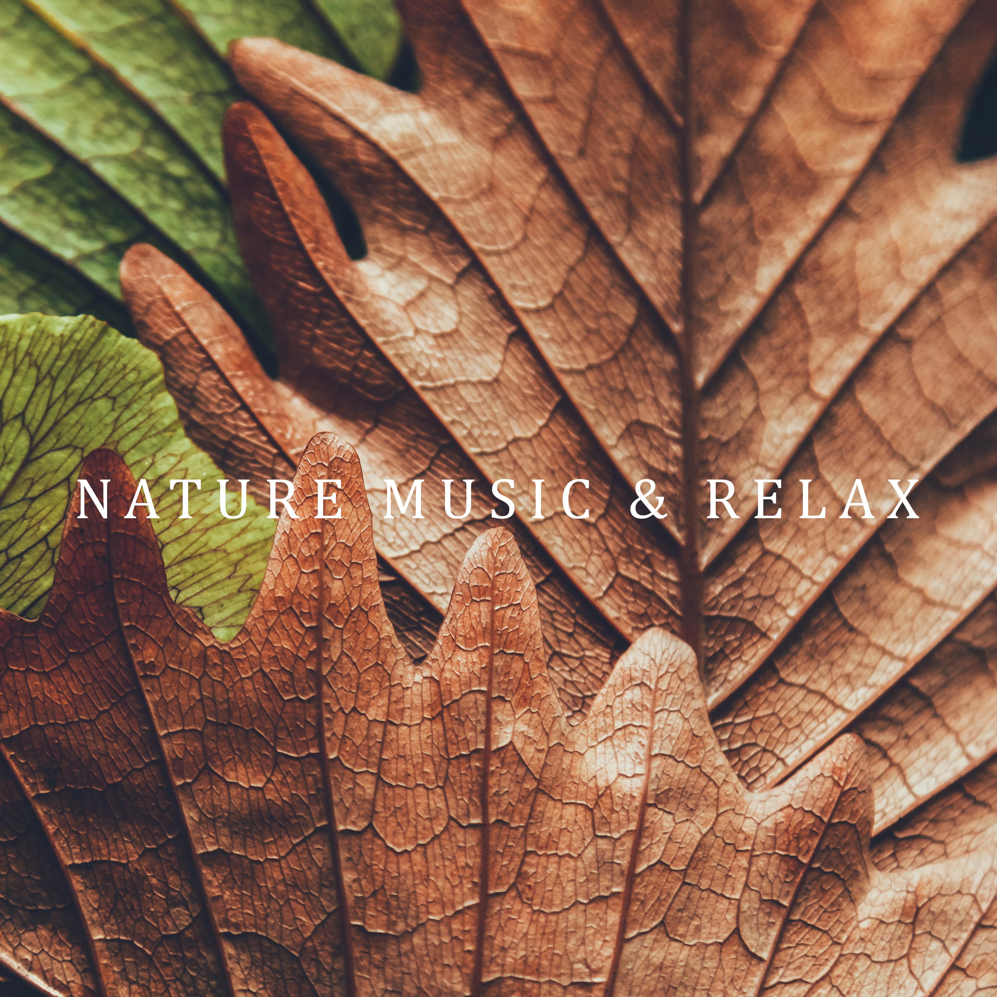 Nature Music & Relax: Soothing Nature Sounds to Calm Down