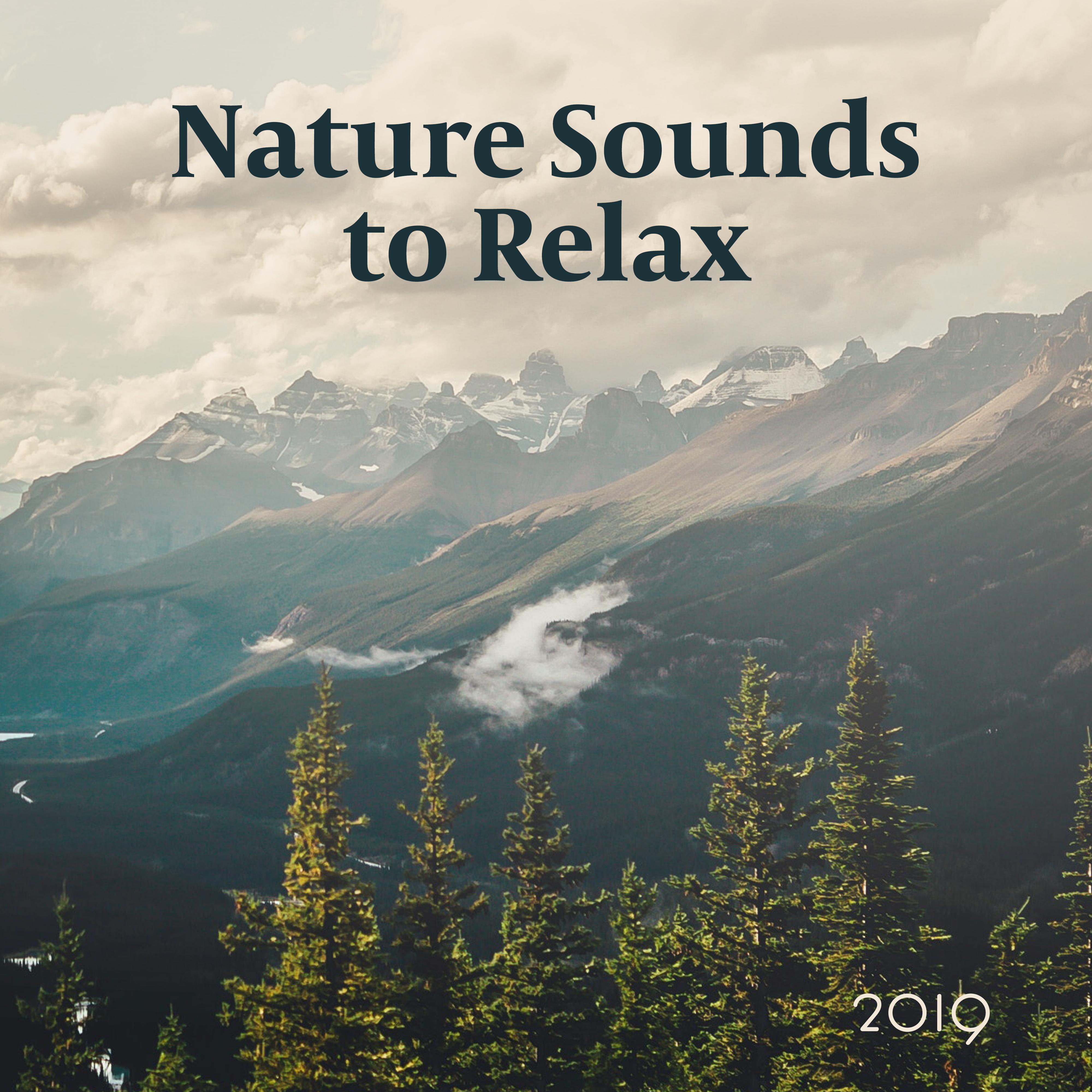 Nature Sounds to Relax 2019