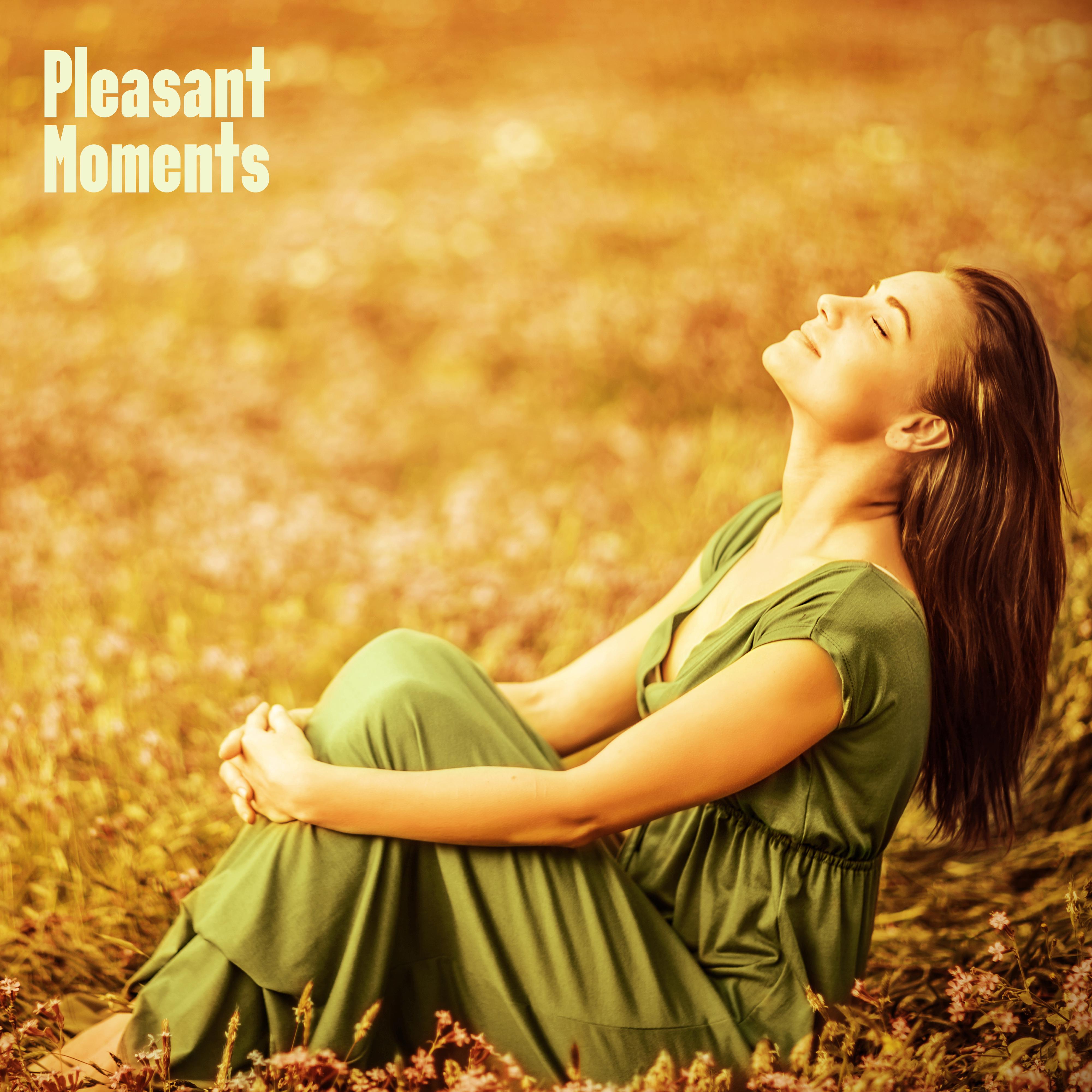 Pleasant Moments: Discover a Soothing Chillout Music and Completely Relax, Rest and Calm with these 15 Deeply Relaxing Tracks