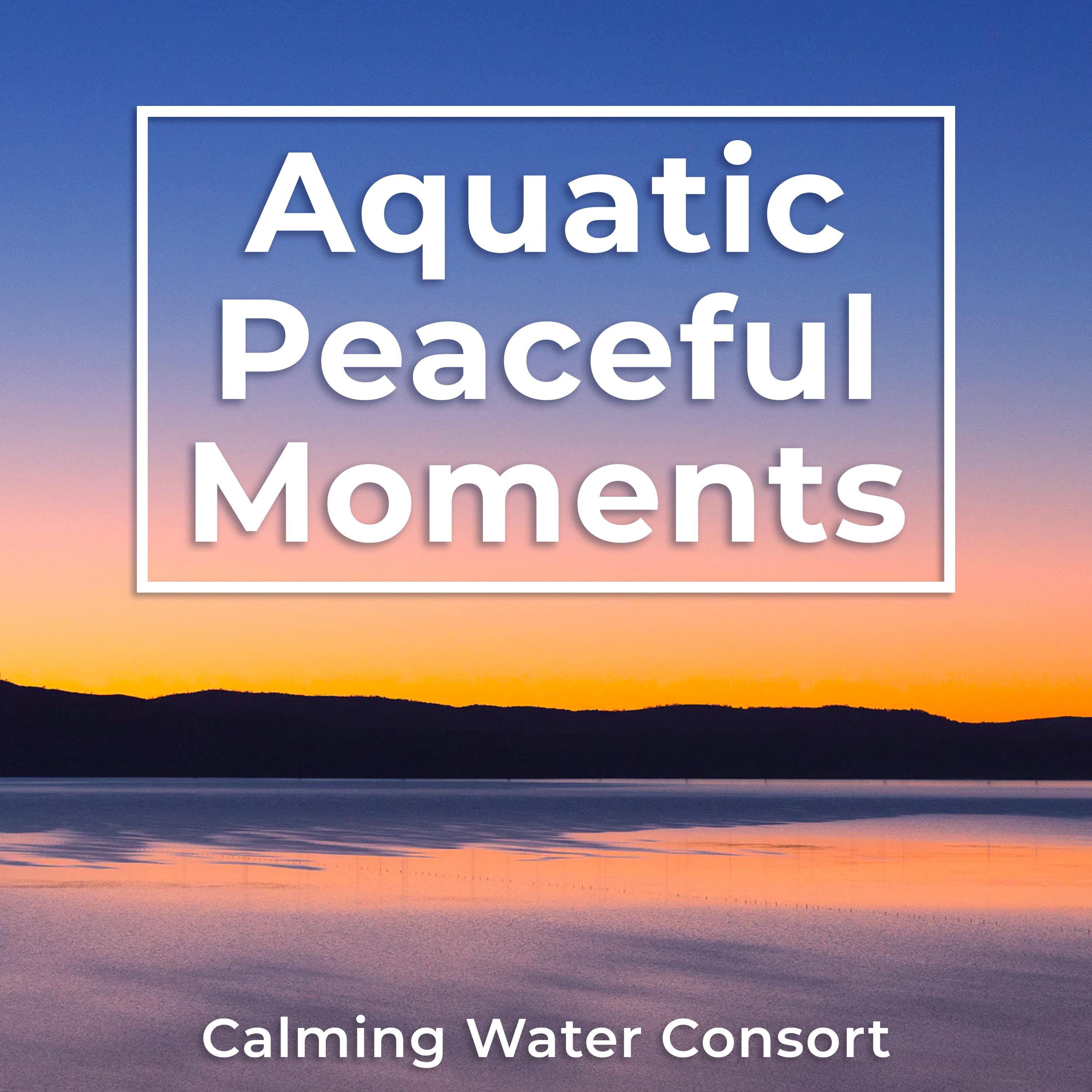 Aquatic Peaceful Moments