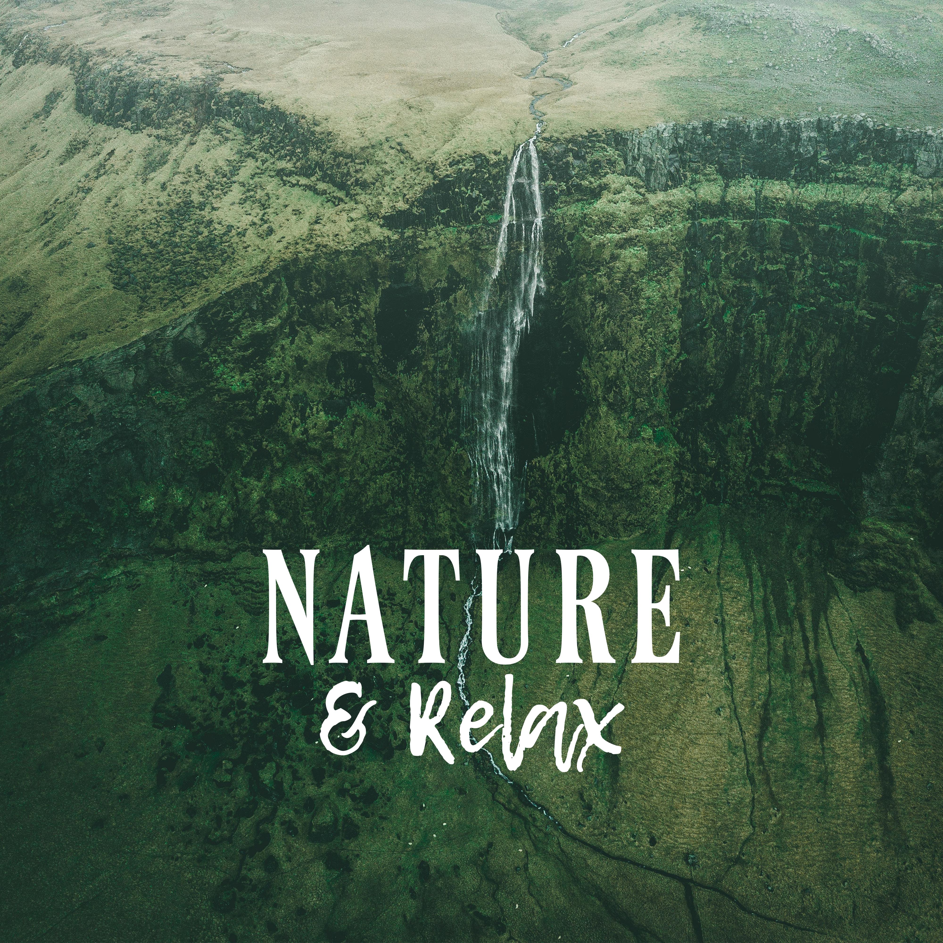 Nature & Relax: Relaxing Vibes to Calm Down, Pure Meditation, Deep Harmony, Zen, Lounge, Ambient Chill