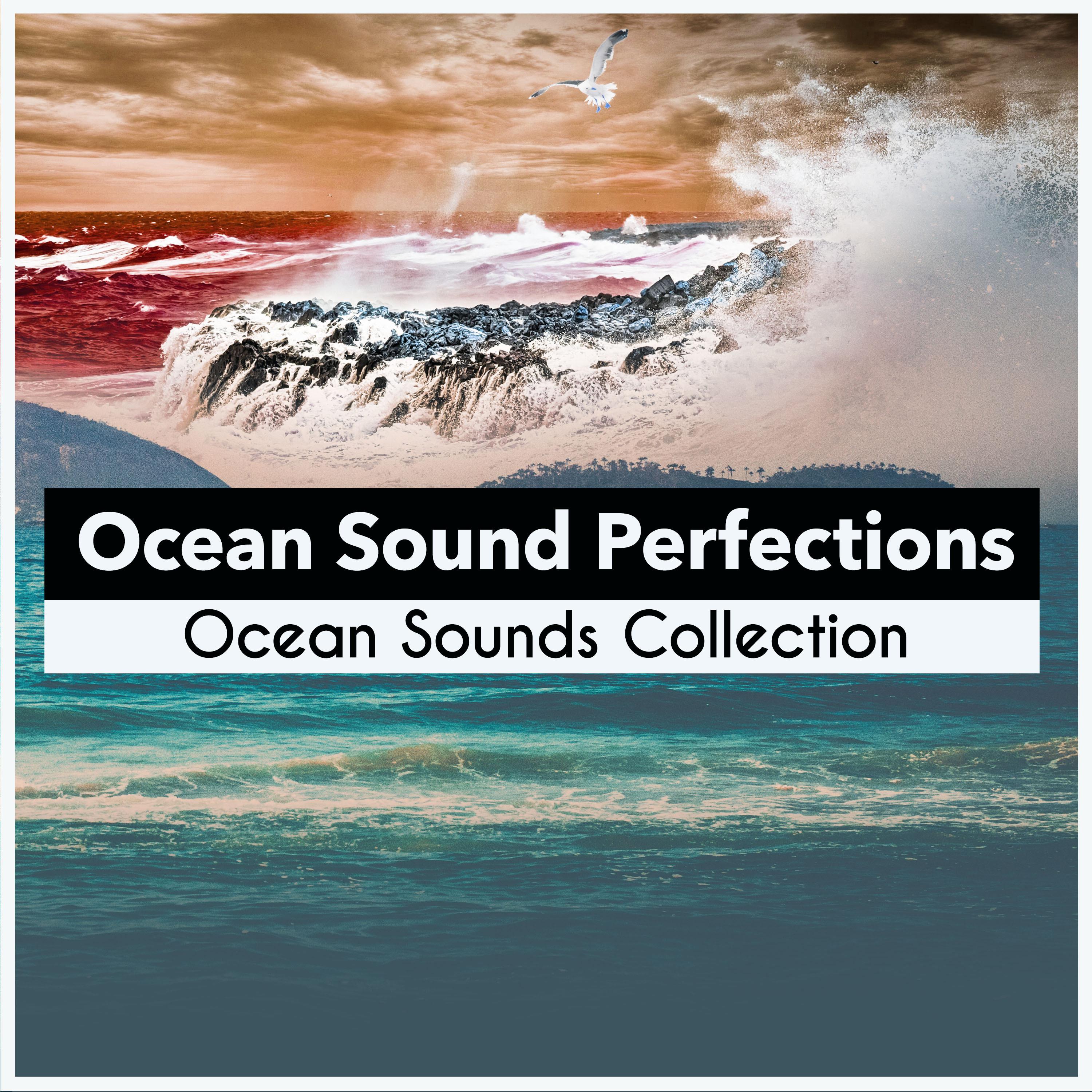 Ocean Sound Perfections