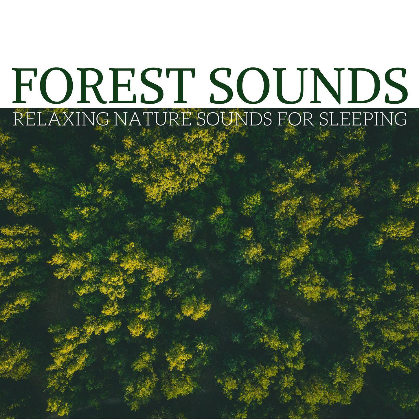 Forest Sounds