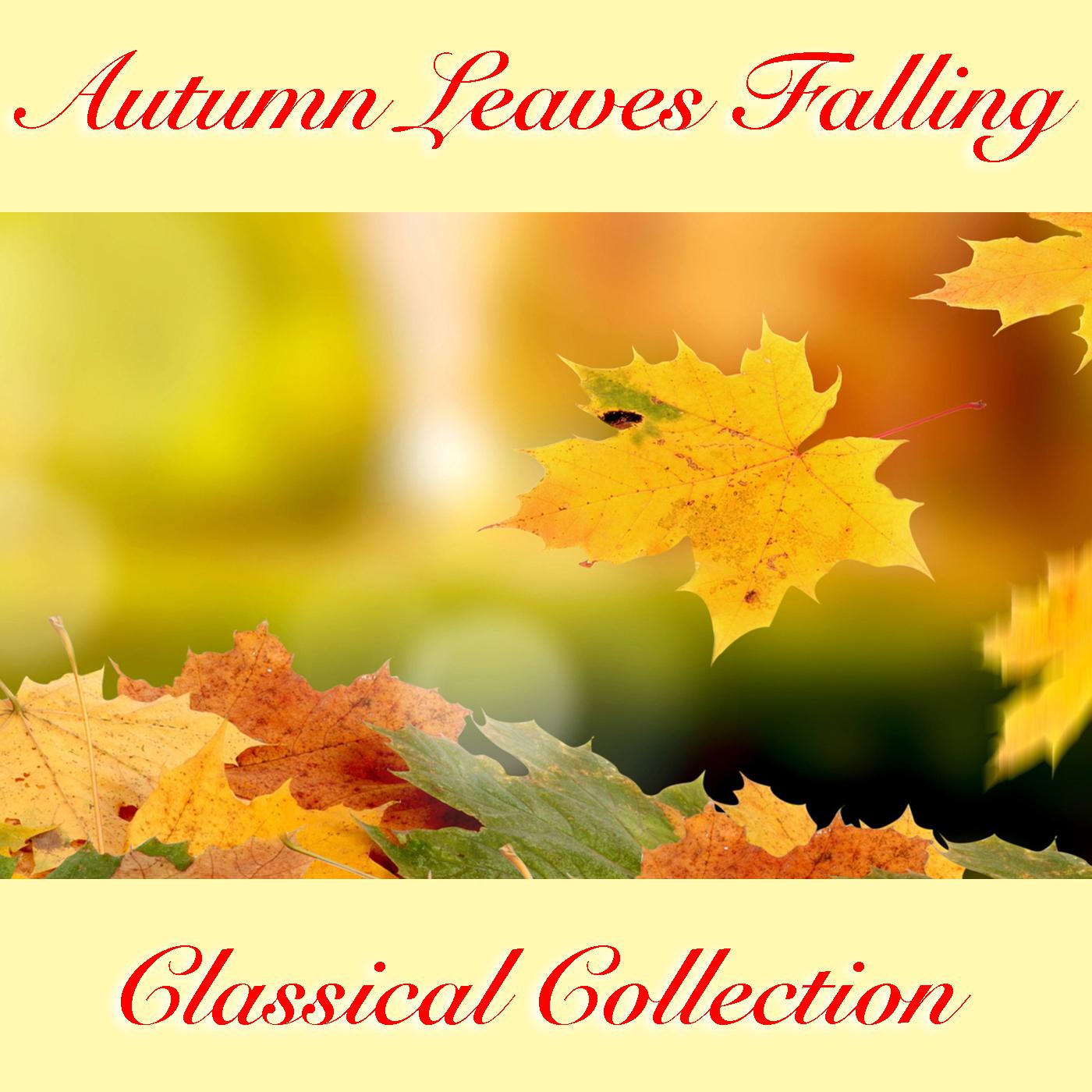 Autumn Leaves Falling Classical Collection