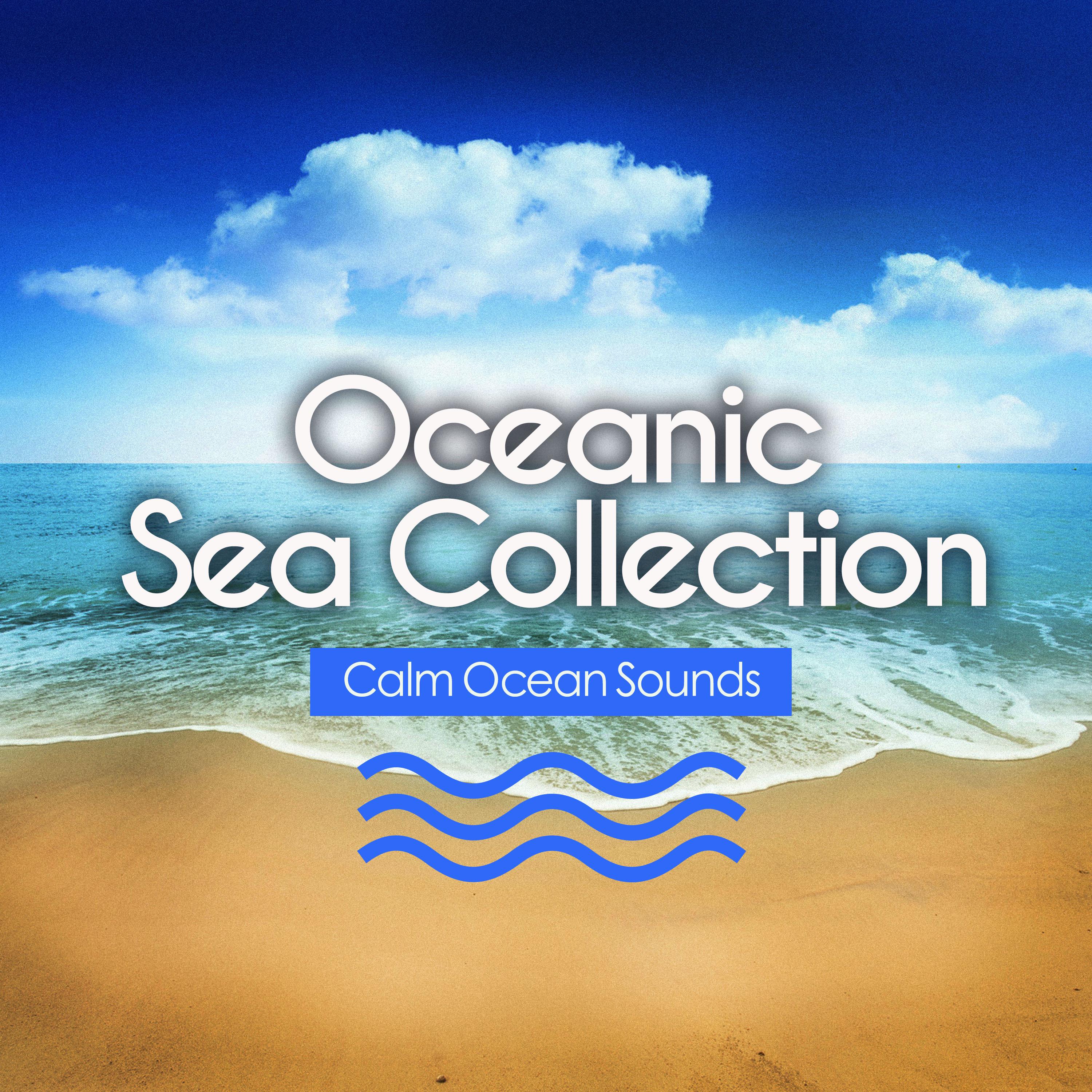 Oceanic Sea Collection