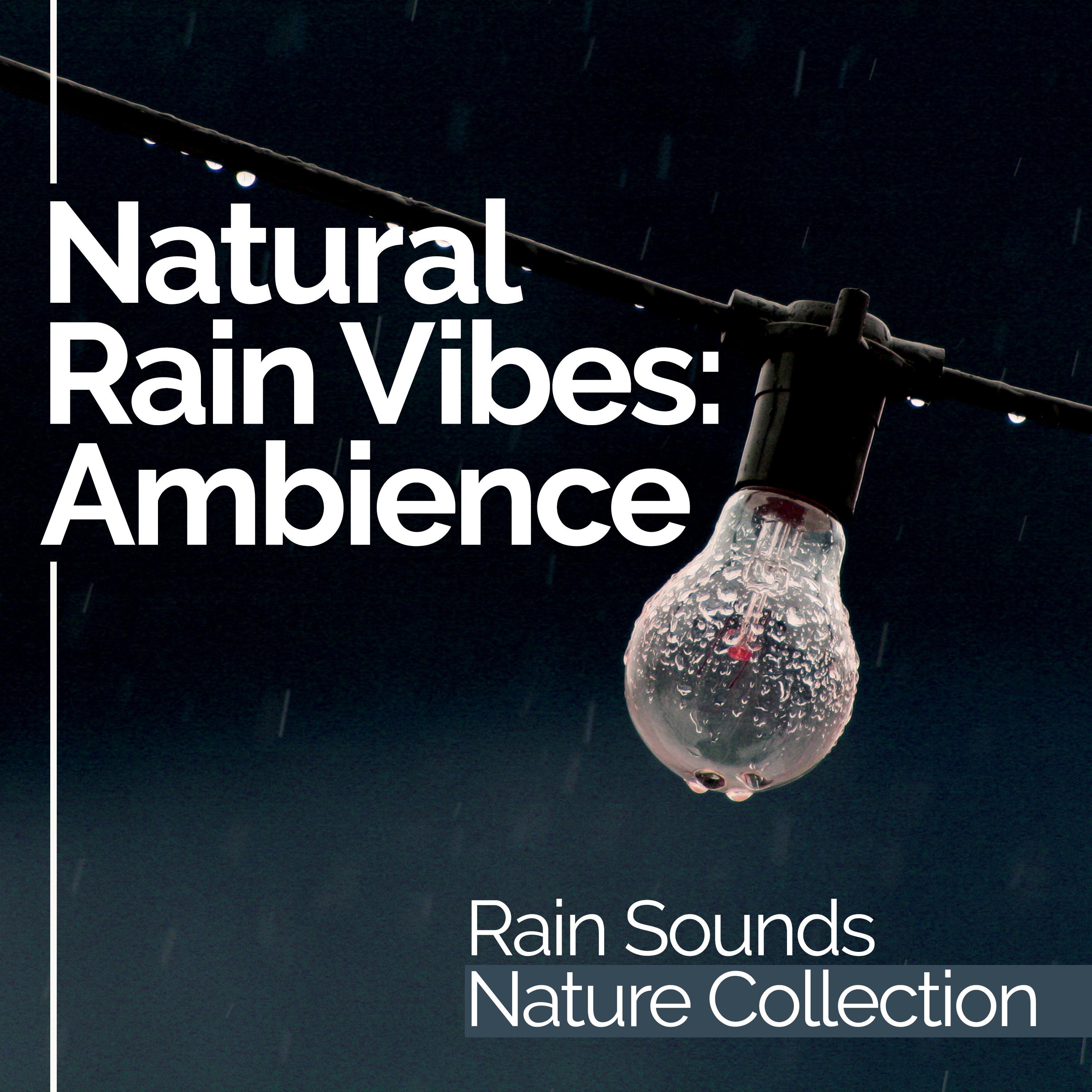 Natural Rain Vibes: Ambience