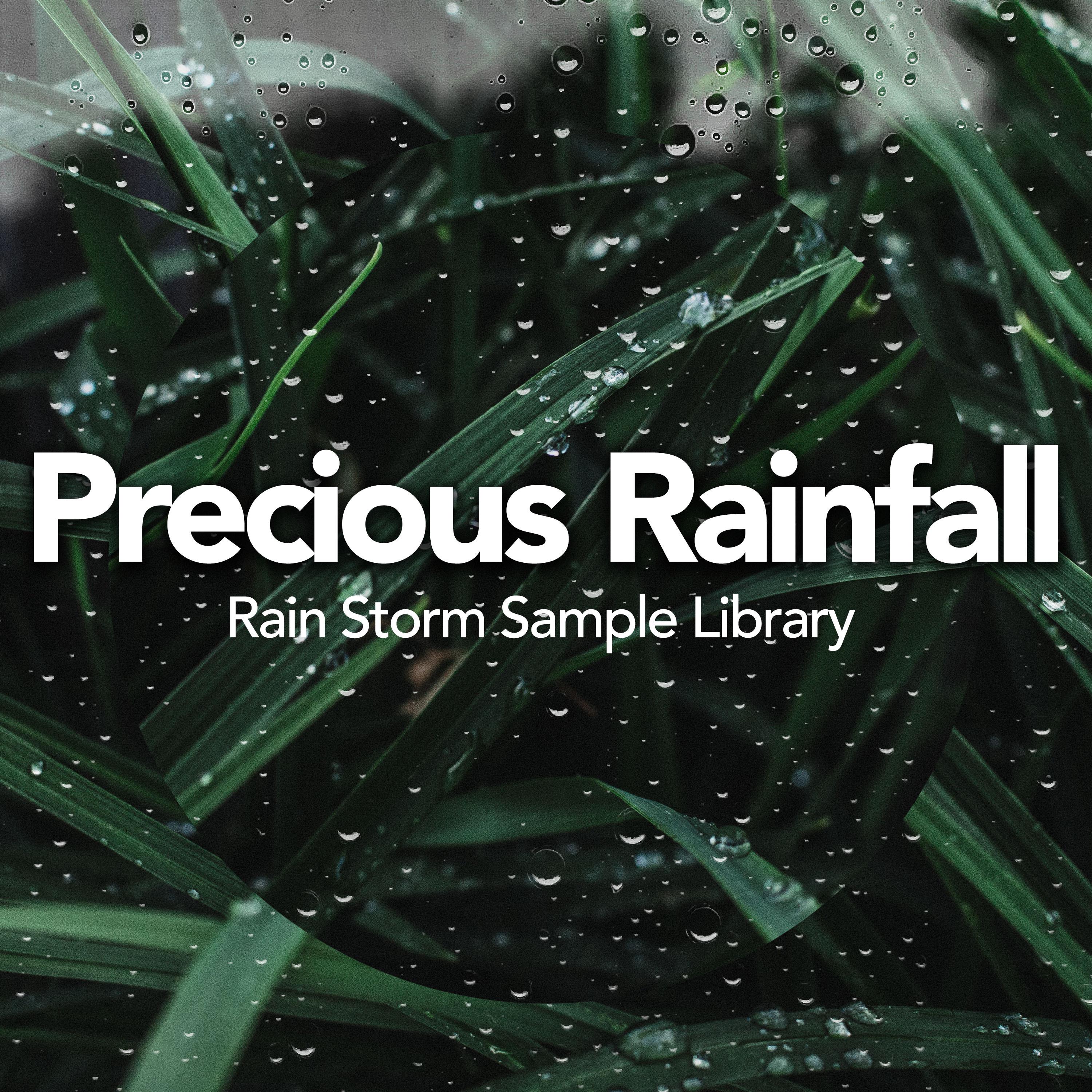 Precious Rainfall