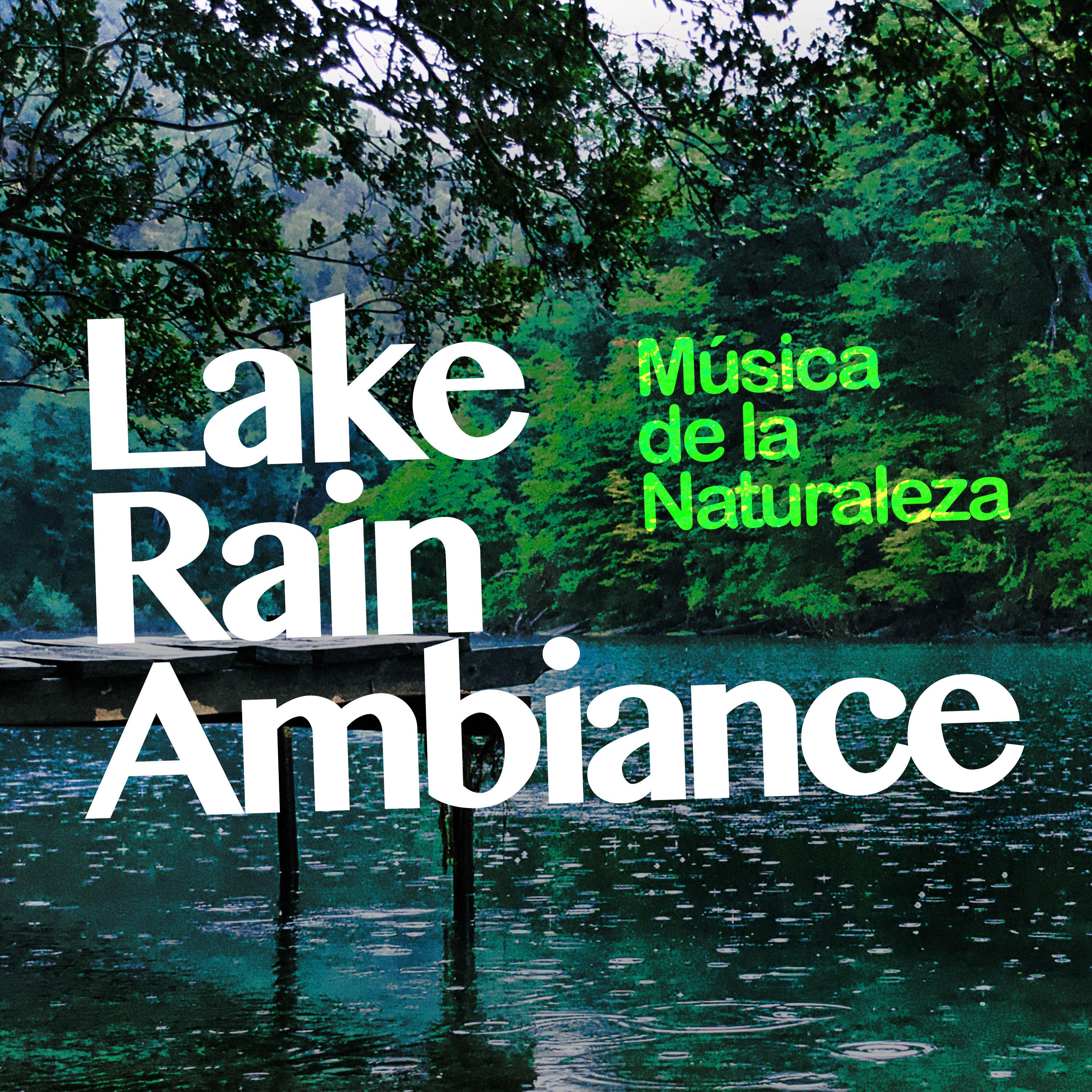 Lake Rain Ambiance