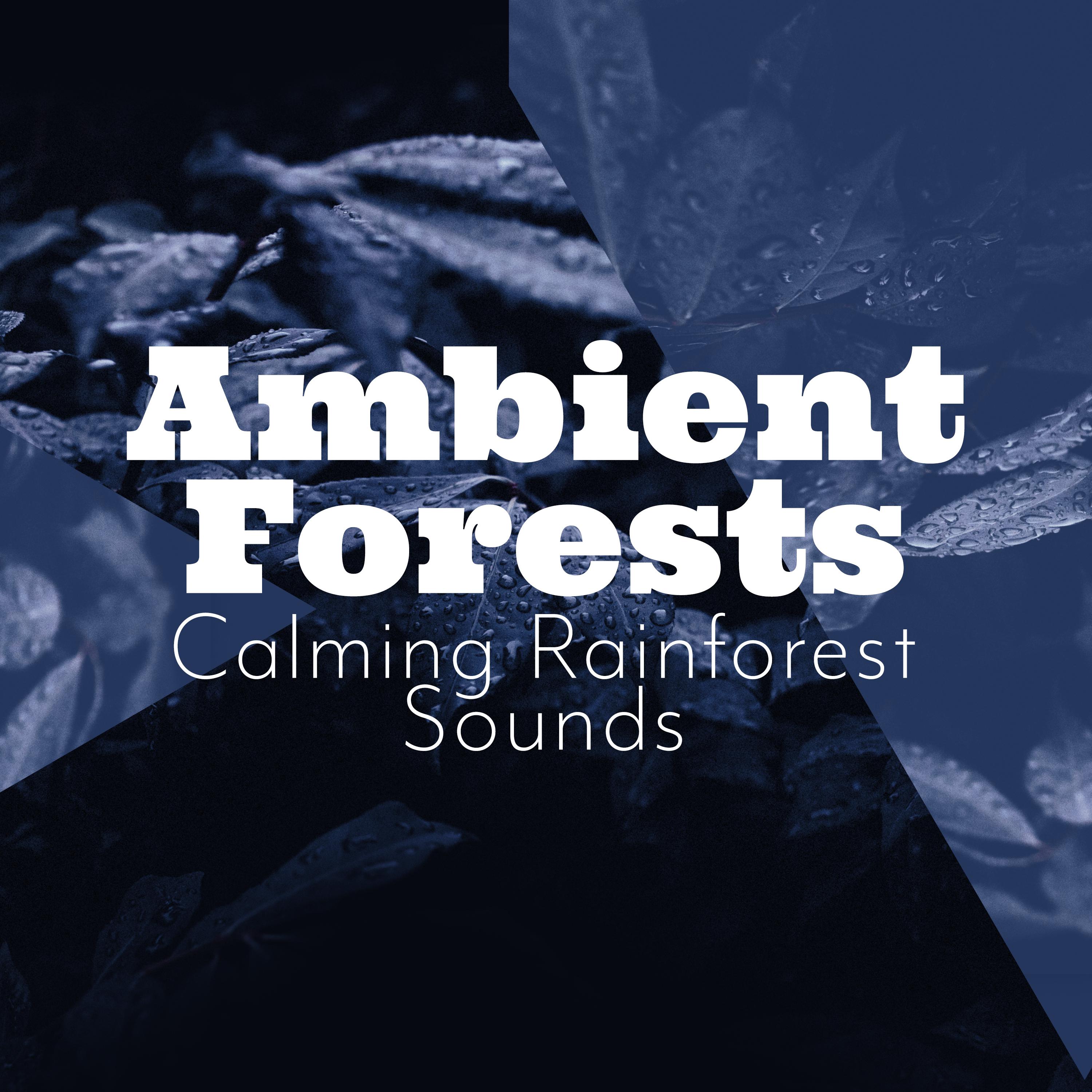 Ambient Forests