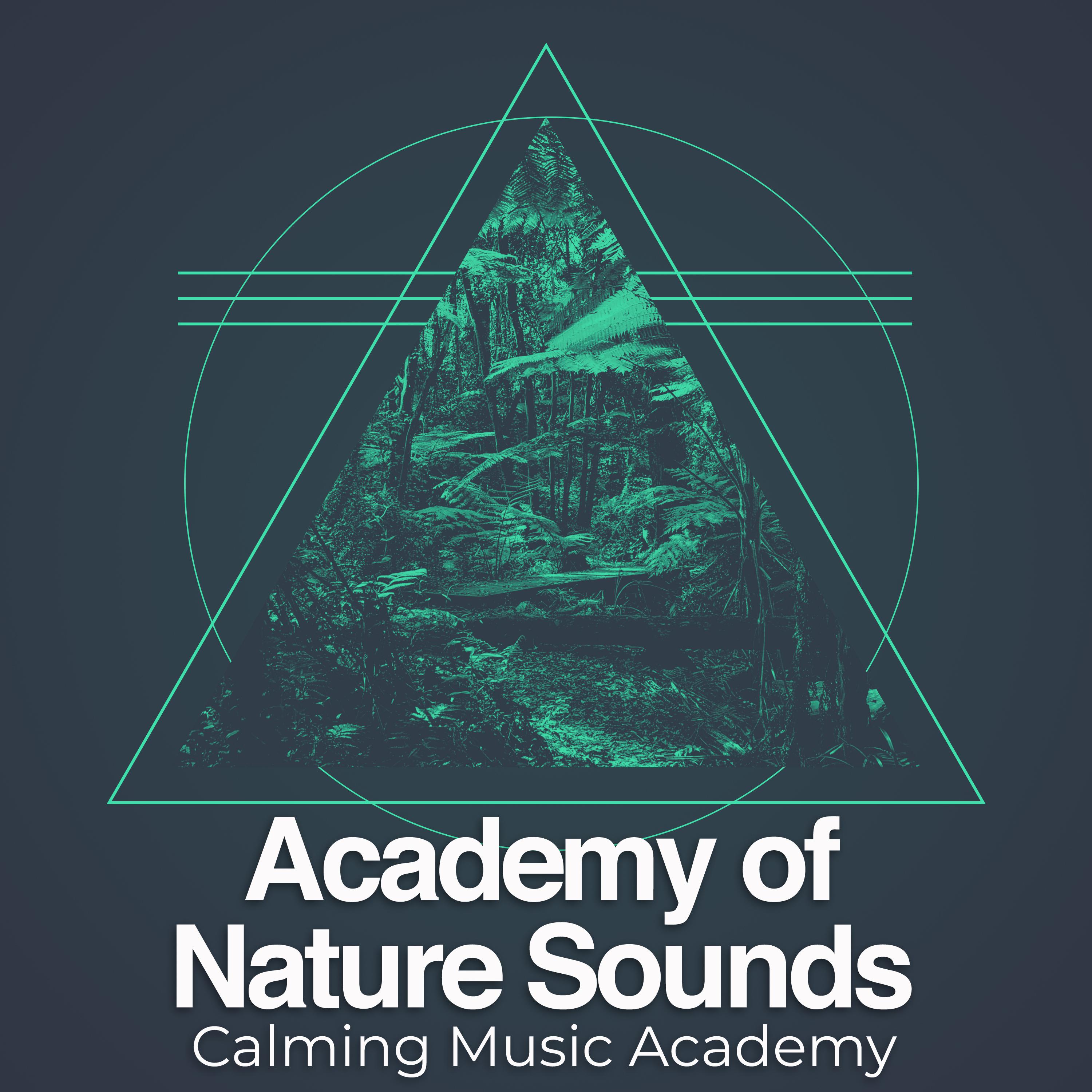 Academy of Nature Sounds