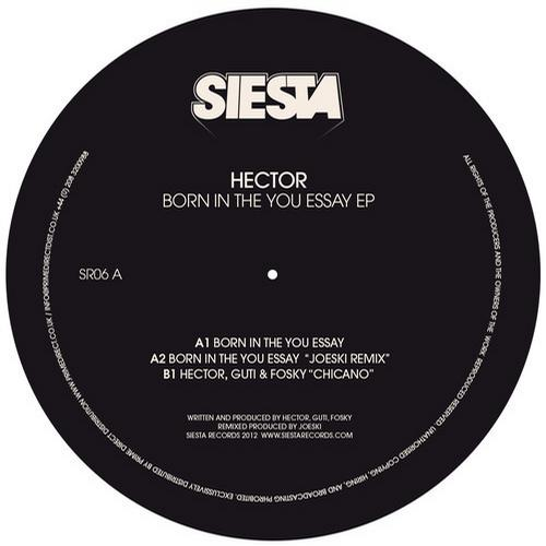 Born in the You Essay (Joeski Remix)