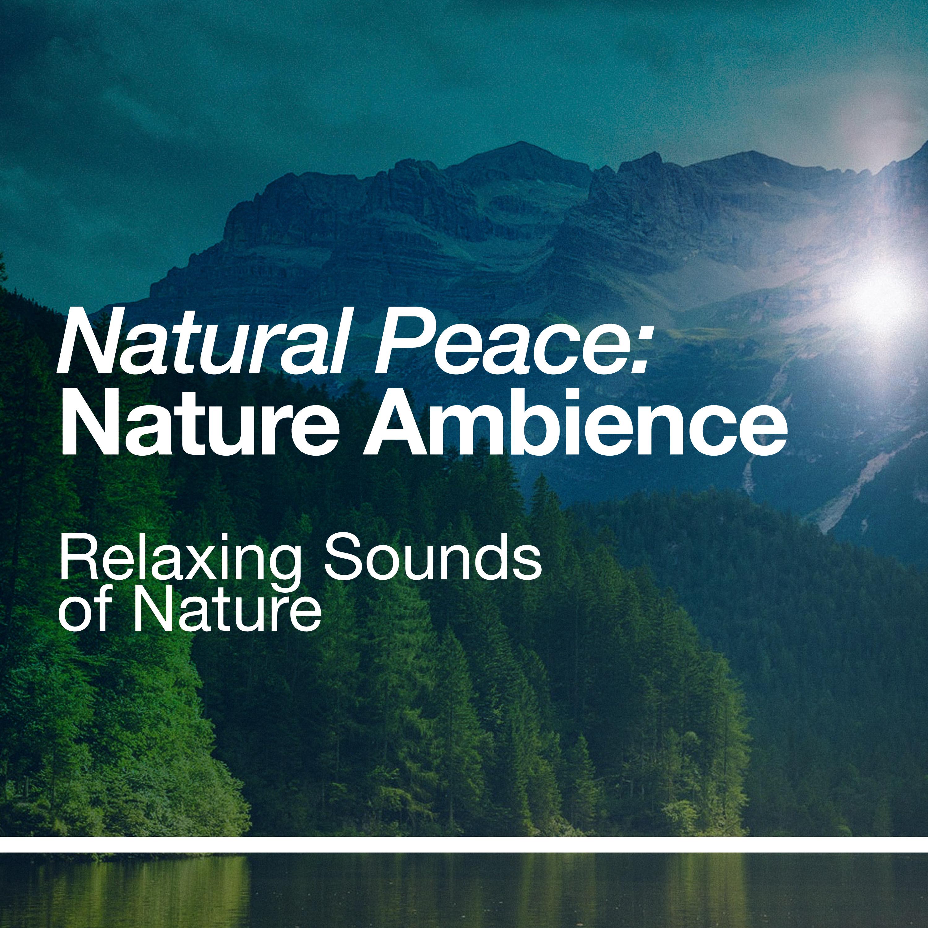 Natural Peace: Nature Ambience