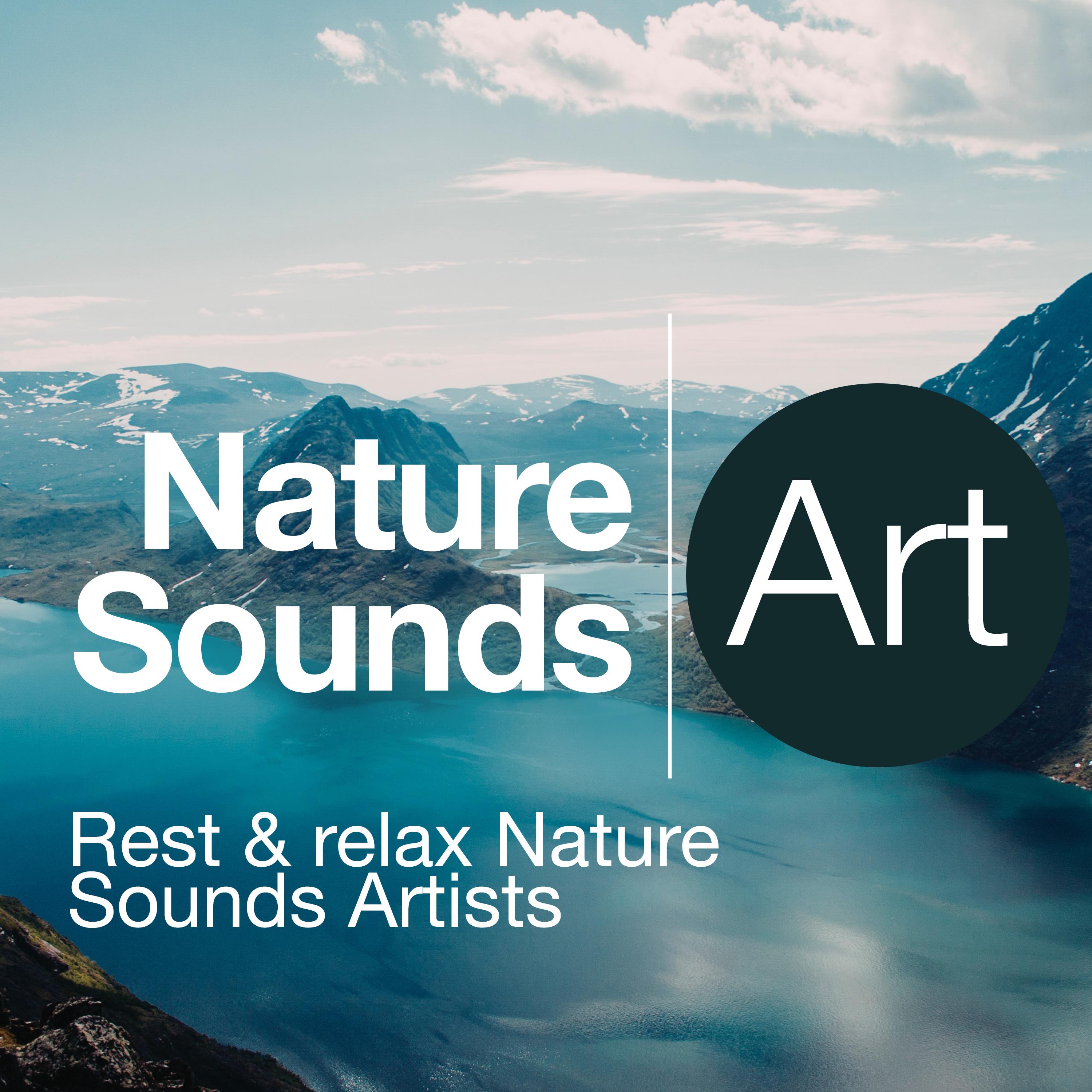 Nature Sounds Art