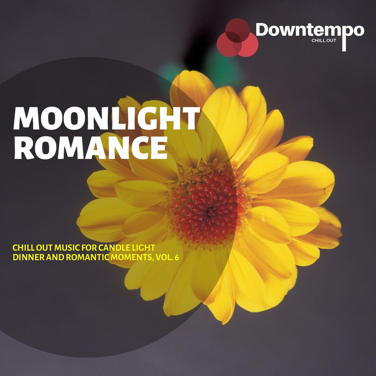 Moonlight Romance - Chill Out Music for Candle Light Dinner and Romantic Moments, Vol. 6