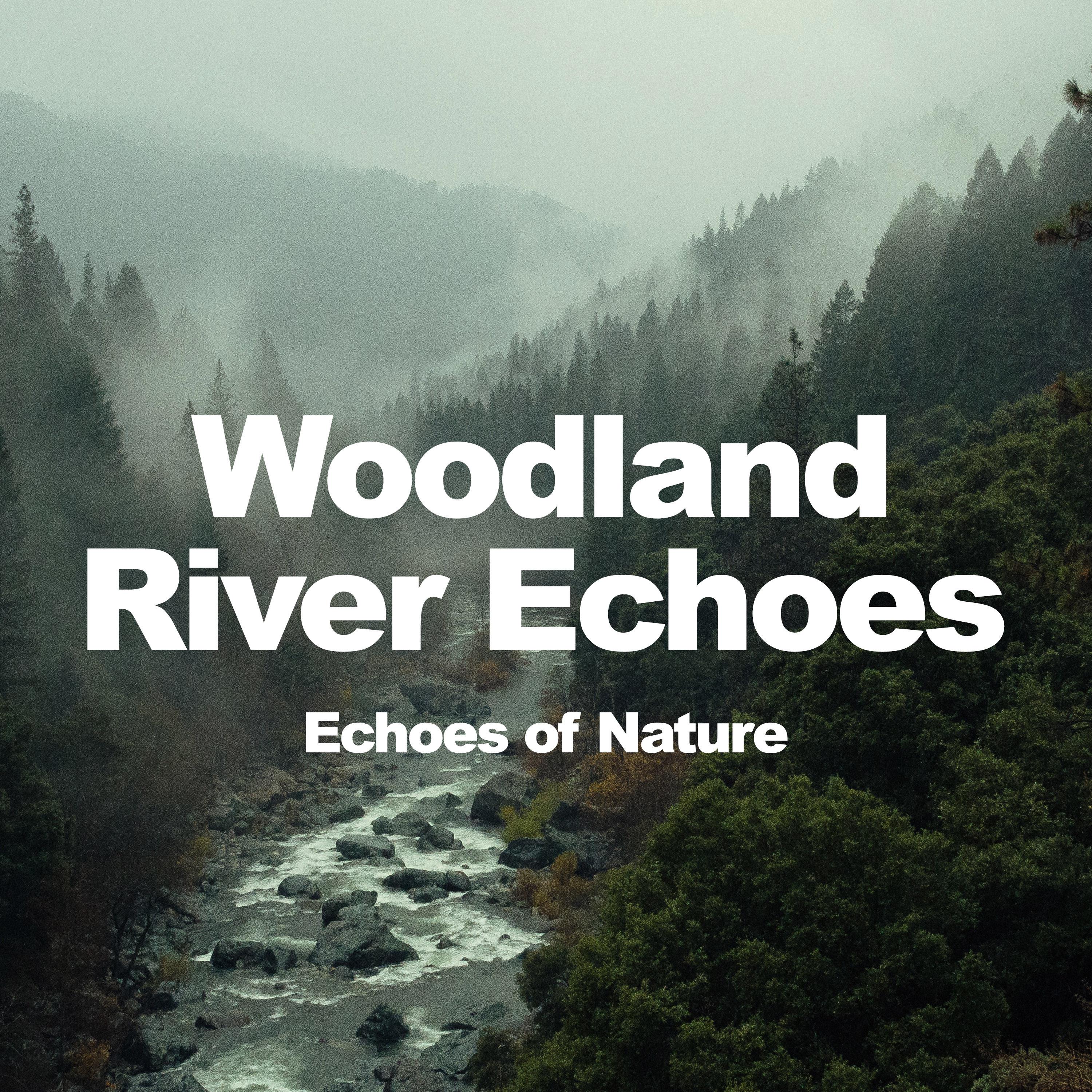 Woodland River Echoes