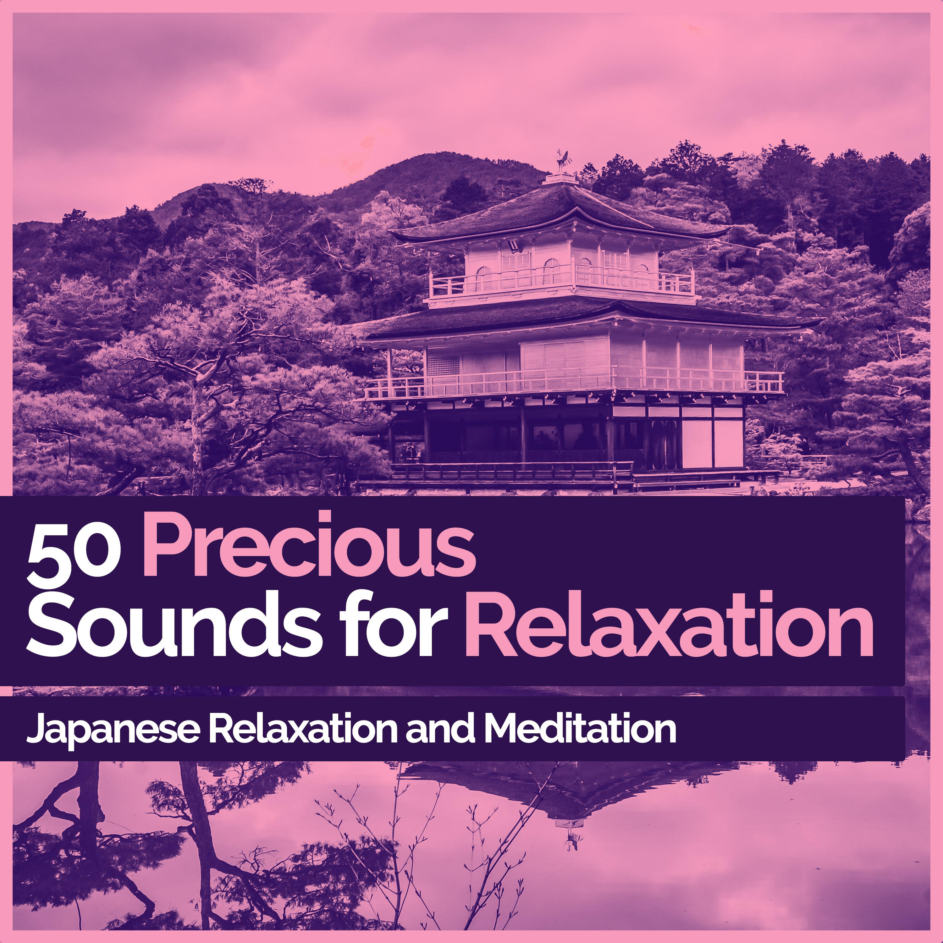 50 Precious Sounds for Relaxation