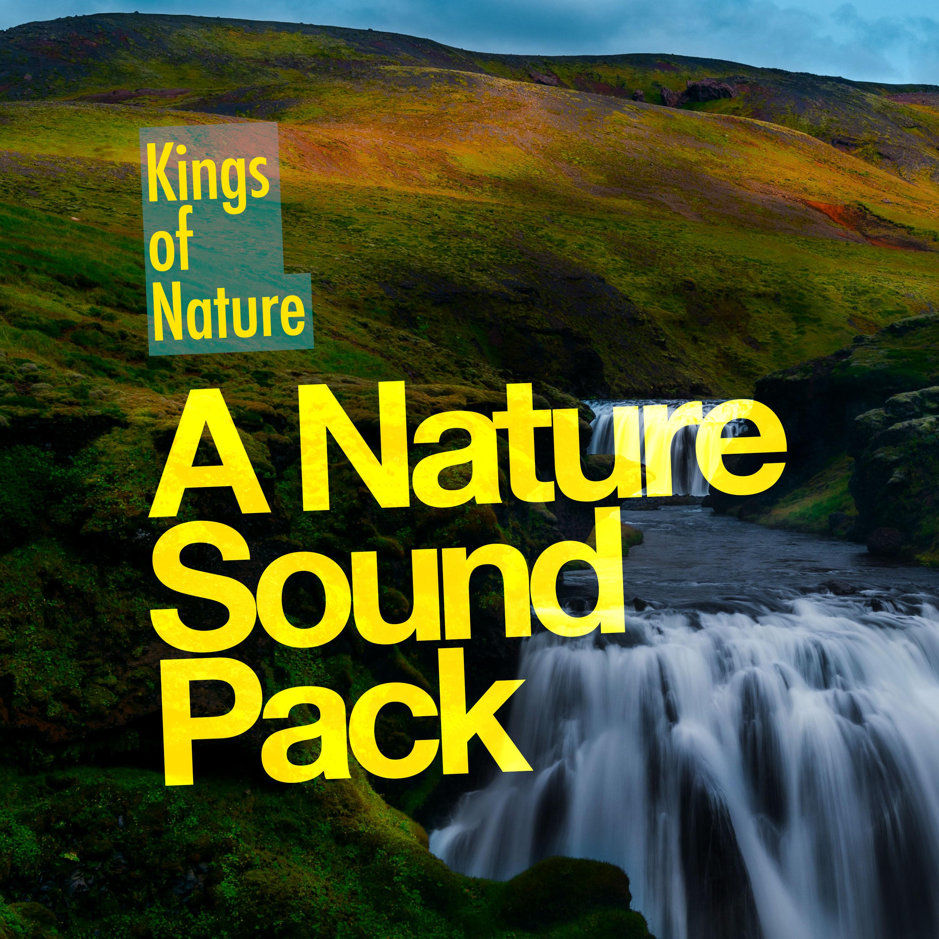 A Nature Sound Pack