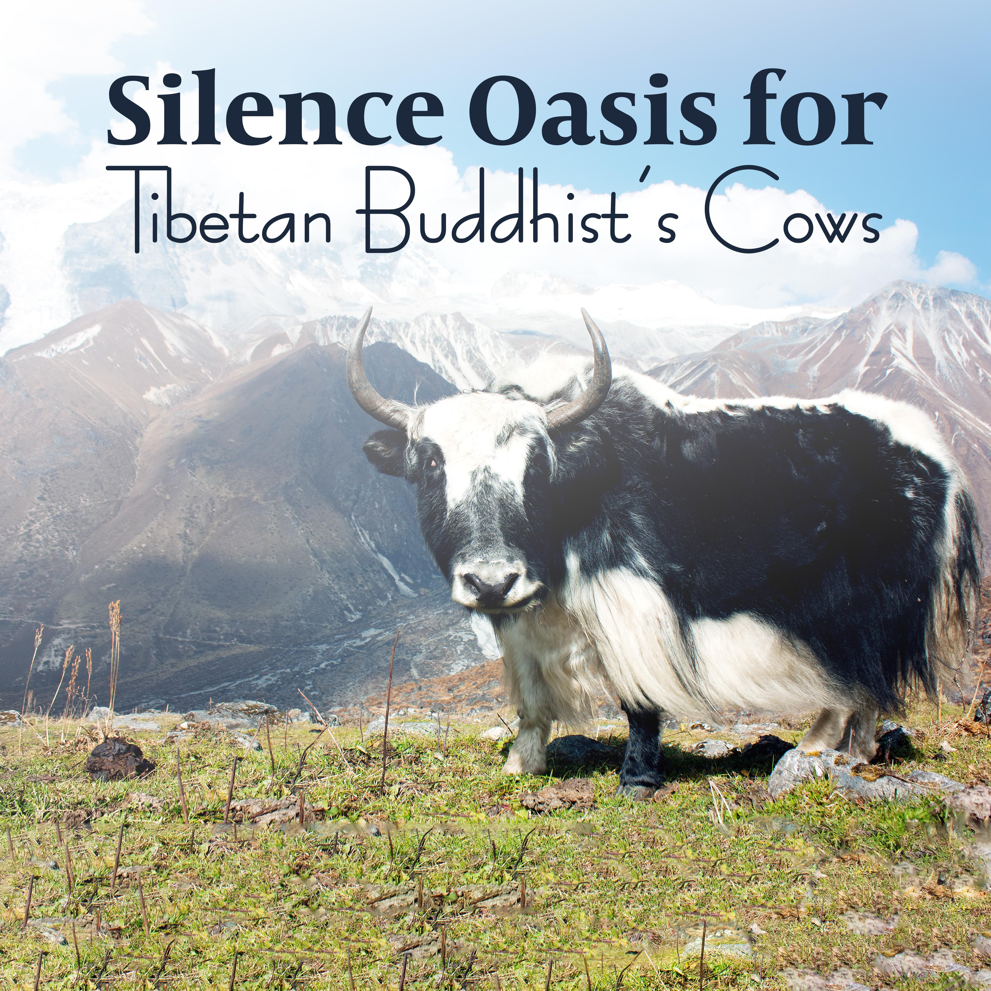 Silence Oasis for Tibetan Buddhist’s Cows: 2019 Relaxation Music for Animals, Calm Down & Stress Relief