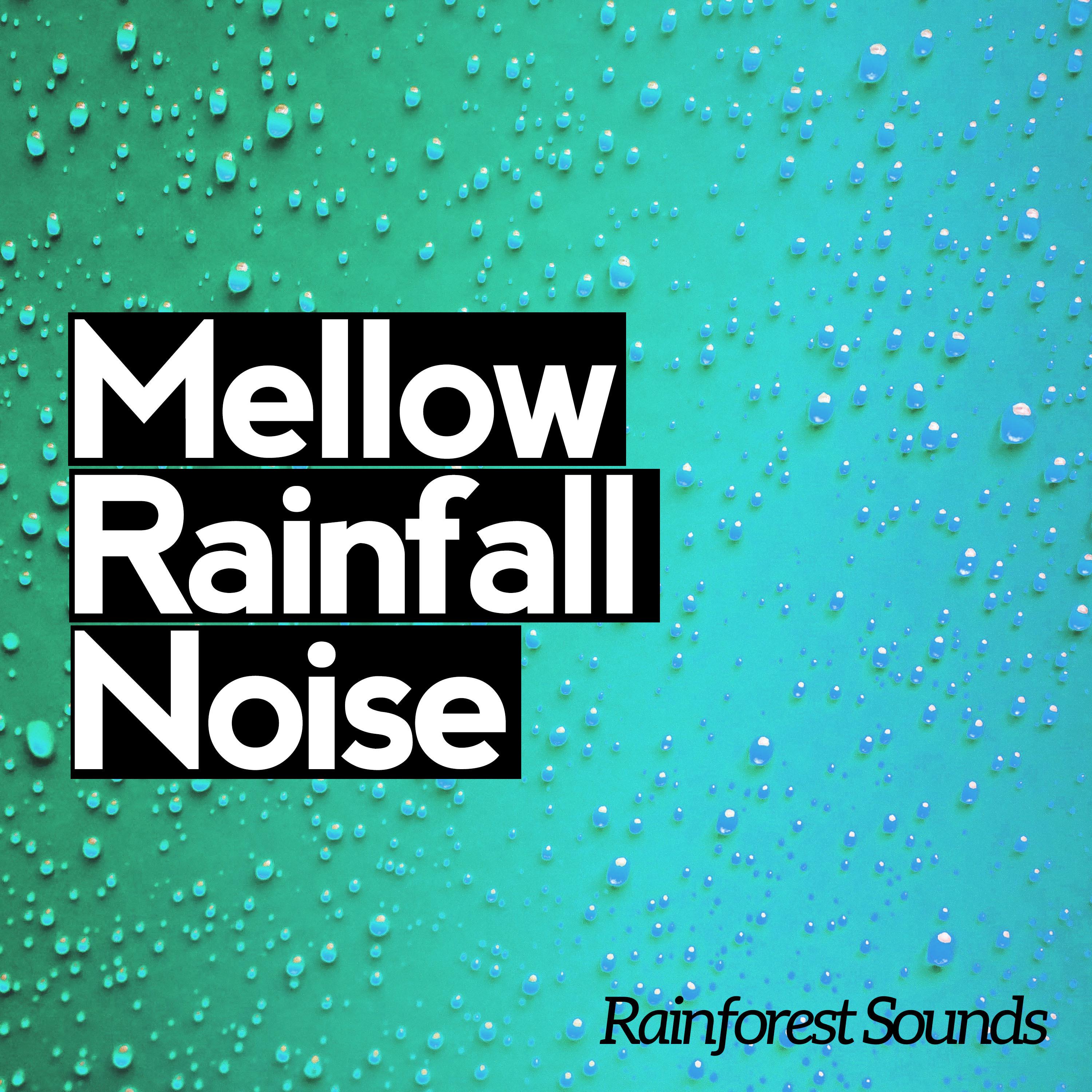 Mellow Rainfall Noise