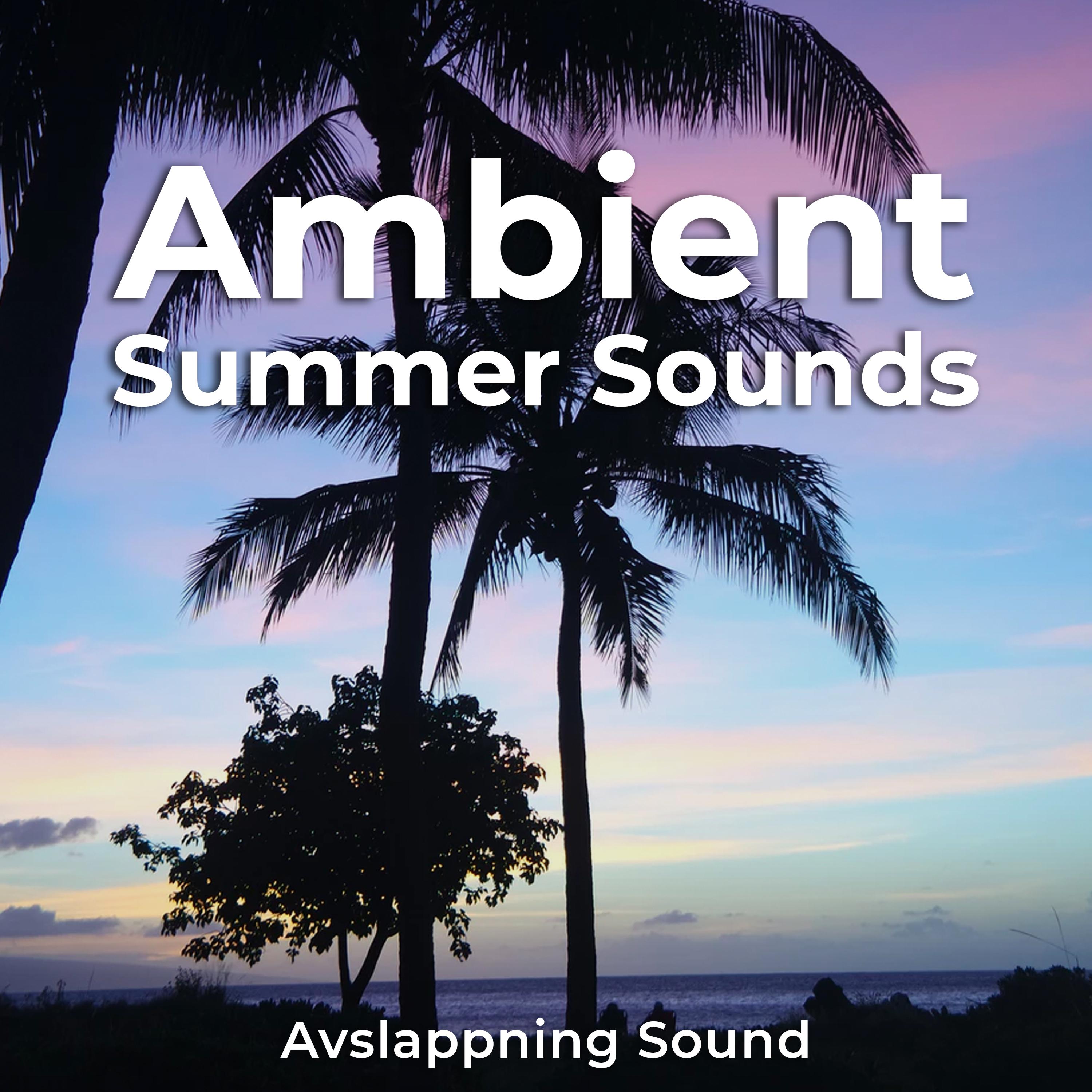 Ambient Summer Sounds