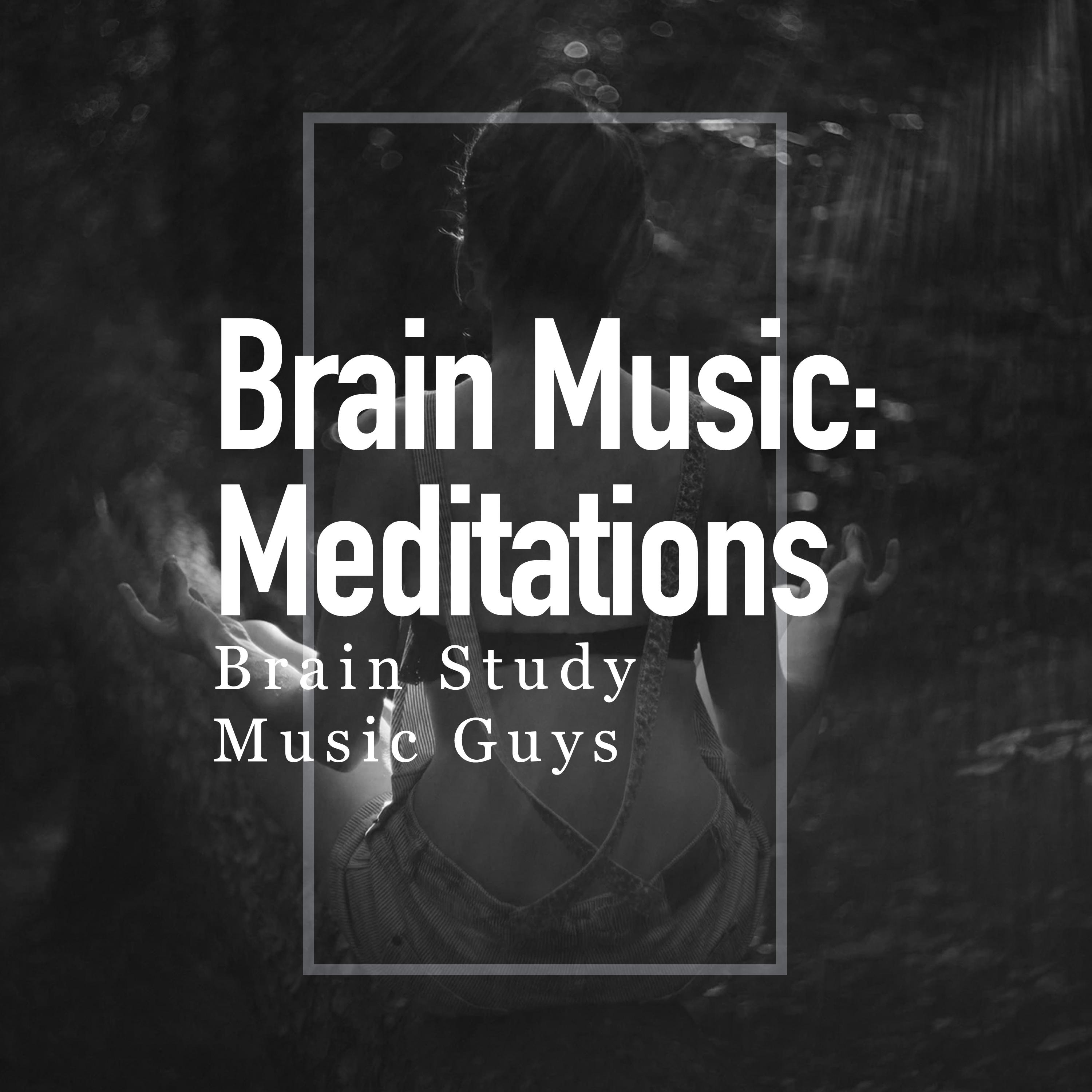 Brain Music: Meditations