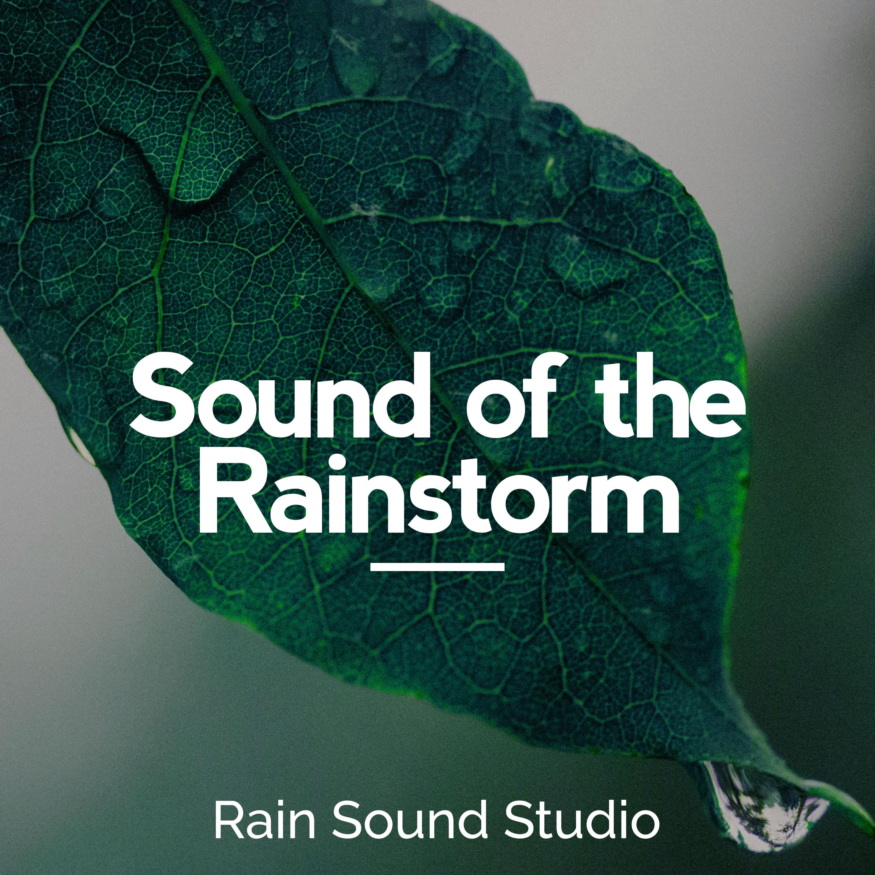 Sound of the Rainstorm