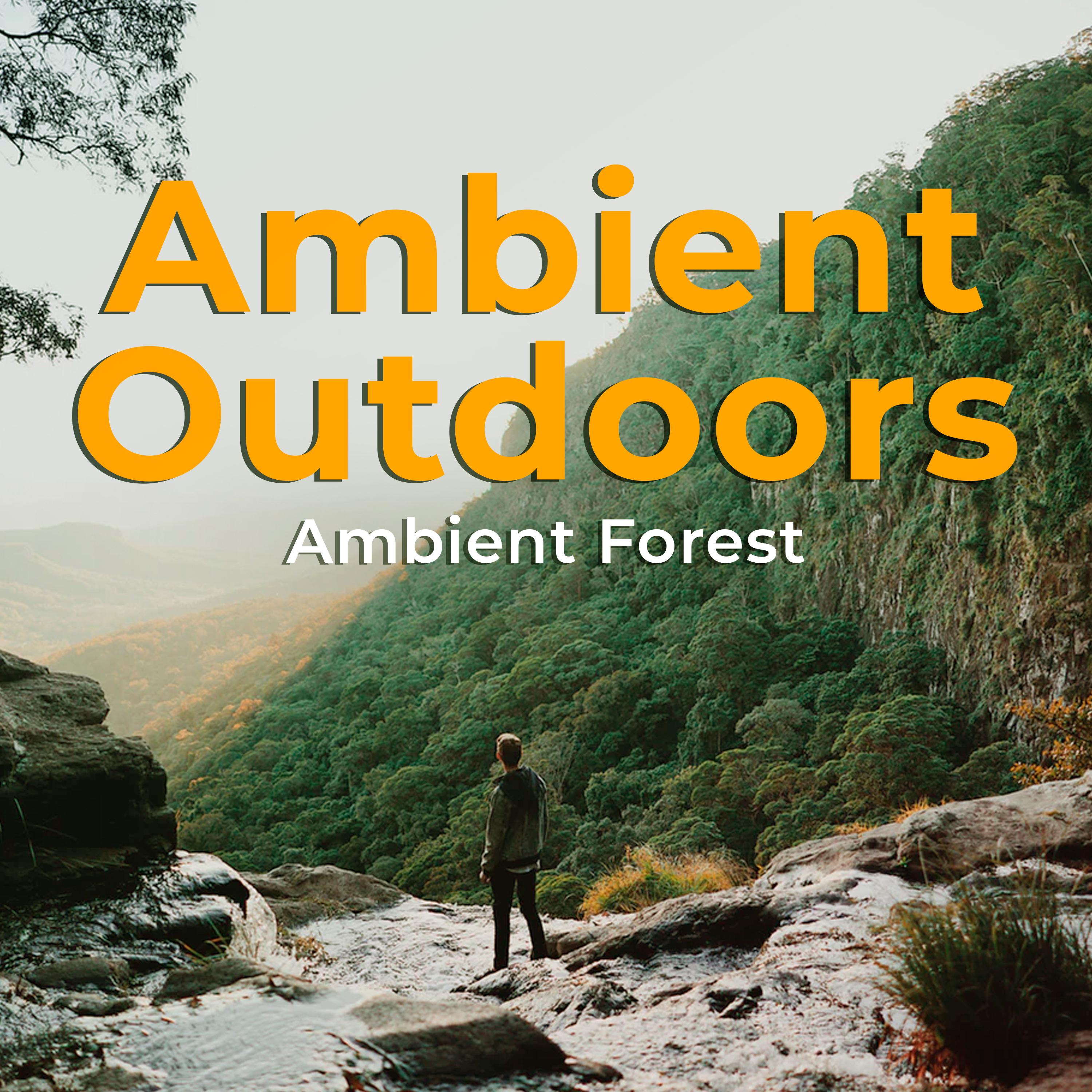 Ambient Outdoors