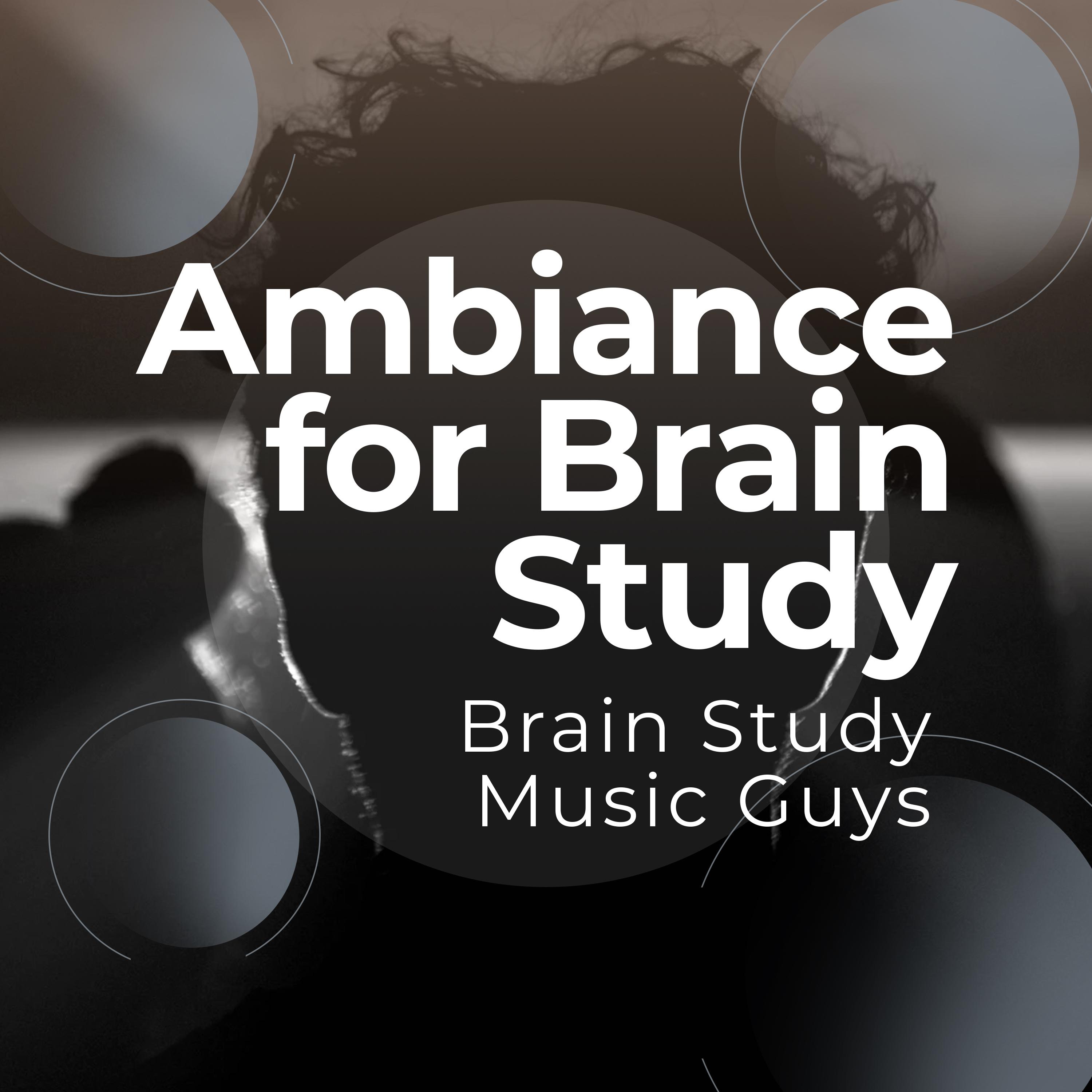 Ambiance for Brain Study