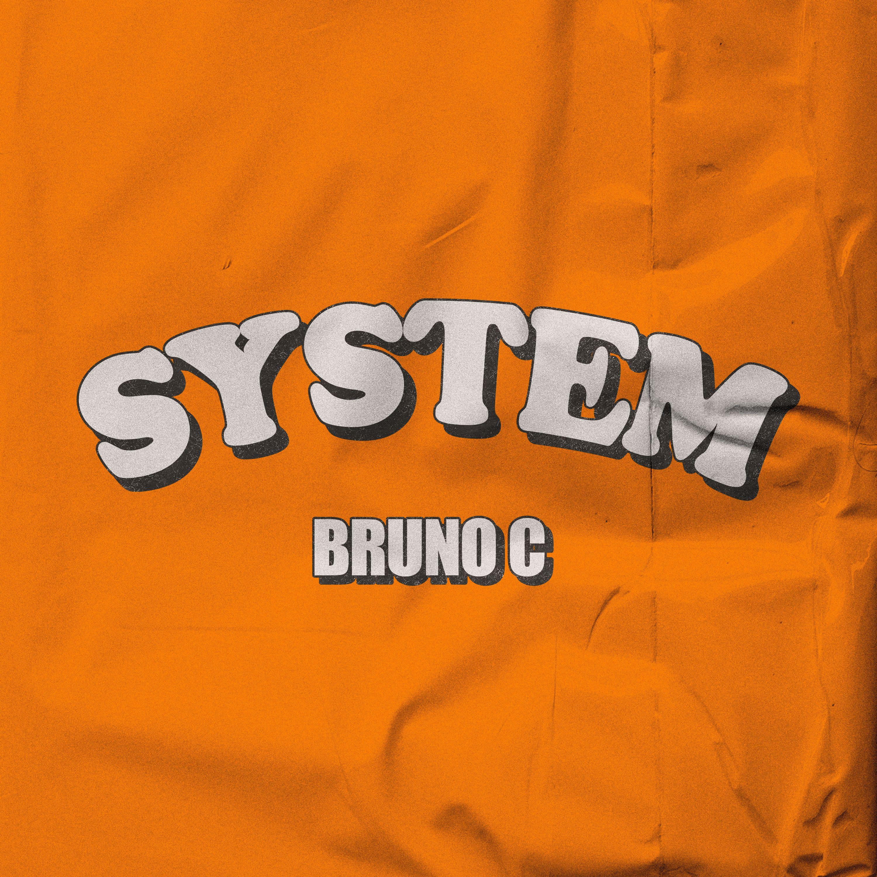 System