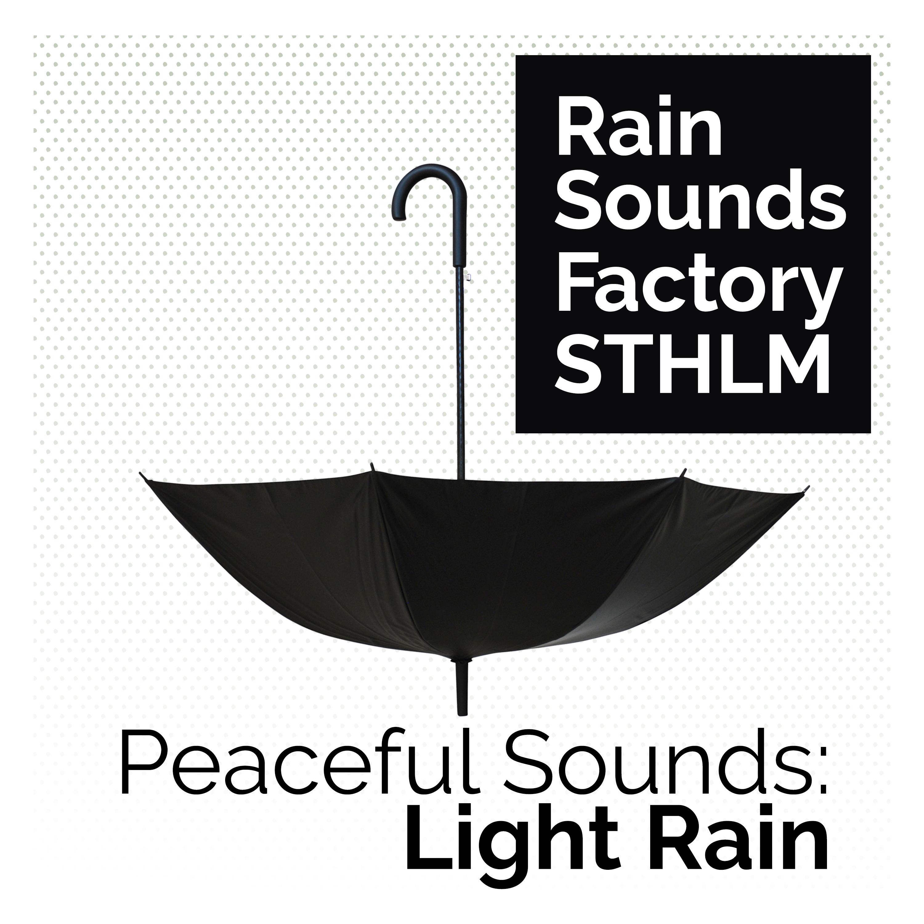 Peaceful Sounds: Light Rain